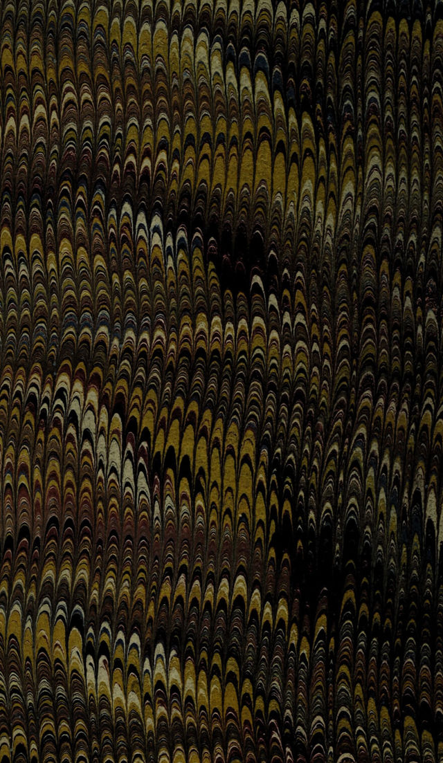 digitised image 2