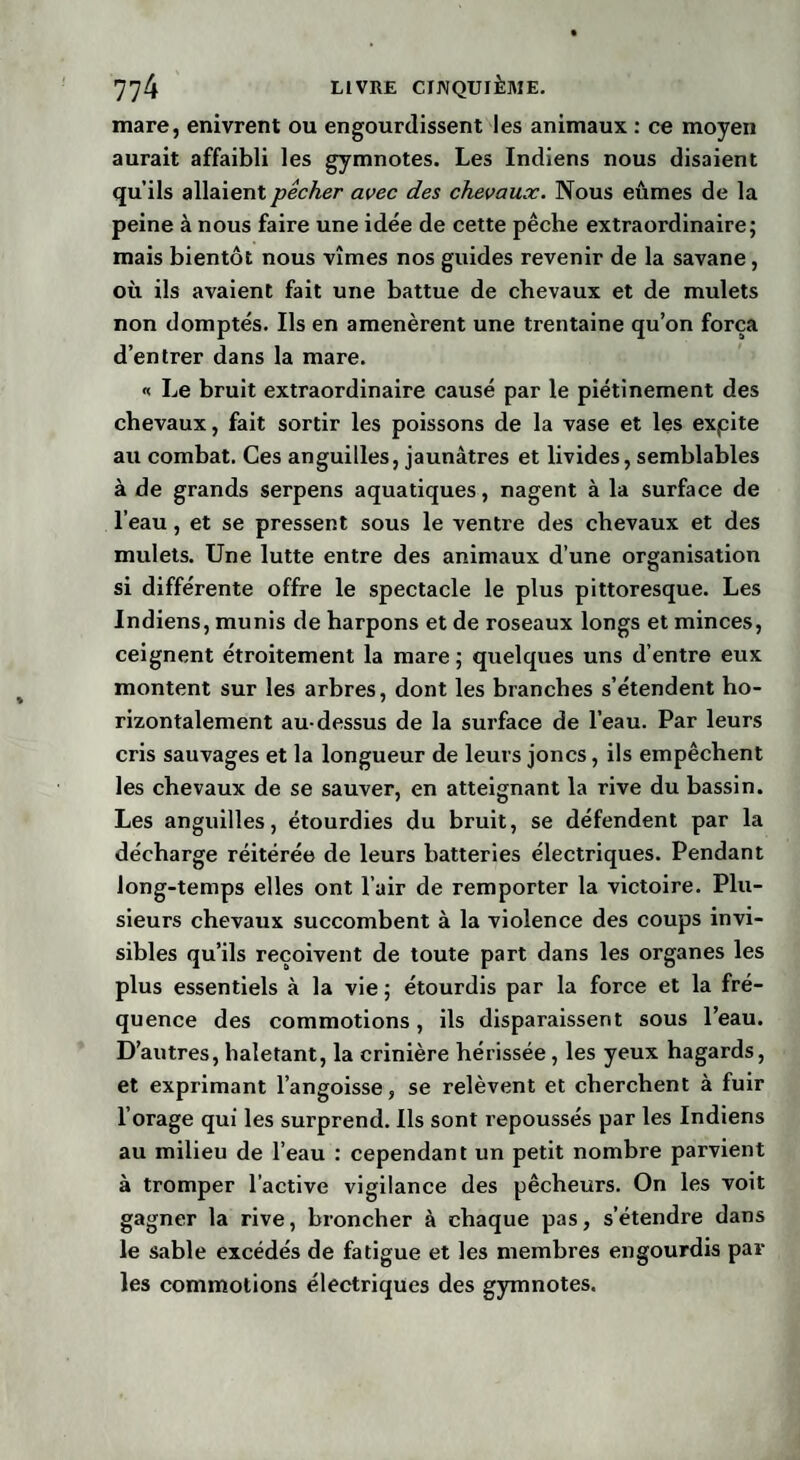mare, enivrent ou engourdissent les animaux : ce moyeii aurait affaibli les gymnotes. Les Indiens nous disaient qu’ils allaient pêcher avec des chevaux. Nous eûmes de la peine à nous faire une idée de cette pêche extraordinaire; mais bientôt nous vîmes nos guides revenir de la savane, où ils avaient fait une battue de chevaux et de mulets non domptés. Ils en amenèrent une trentaine qu’on força d’entrer dans la mare. « Le bruit extraordinaire causé par le piétinement des chevaux, fait sortir les poissons de la vase et les expite au combat. Ces anguilles, jaunâtres et livides, semblables à de grands serpens aquatiques, nagent à la surface de l’eau, et se pressent sous le ventre des chevaux et des mulets. Une lutte entre des animaux d’une organisation si différente offre le spectacle le plus pittoresque. Les Indiens, munis de harpons et de roseaux longs et minces, ceignent étroitement la mare ; quelques uns d’entre eux montent sur les arbres, dont les branches s’étendent ho¬ rizontalement au-dessus de la surface de l’eau. Par leurs cris sauvages et la longueur de leurs joncs, ils empêchent les chevaux de se sauver, en atteignant la rive du bassin. Les anguilles, étourdies du bruit, se défendent par la décharge réitérée de leurs batteries électriques. Pendant long-temps elles ont l’air de remporter la victoire. Plu¬ sieurs chevaux succombent à la violence des coups invi¬ sibles qu’ils reçoivent de toute part dans les organes les plus essentiels à la vie ; étourdis par la force et la fré¬ quence des commotions, ils disparaissent sous l’eau. D’autres, haletant, la crinière hérissée, les yeux hagards, et exprimant l’angoisse, se relèvent et cherchent à fuir l’orage qui les surprend. Ils sont repoussés par les Indiens au milieu de l’eau : cependant un petit nombre parvient à tromper l’active vigilance des pêcheurs. On les voit gagner la rive, broncher à chaque pas, s’étendre dans le sable excédés de fatigue et les membres engourdis par les commotions électriques des gymnotes.