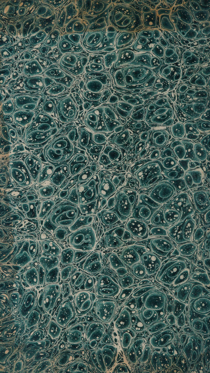 No text description is available for this image