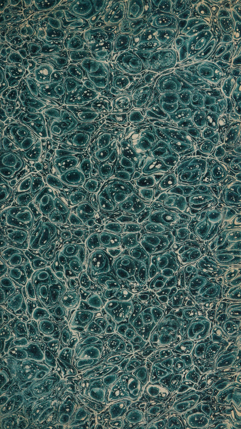 No text description is available for this image