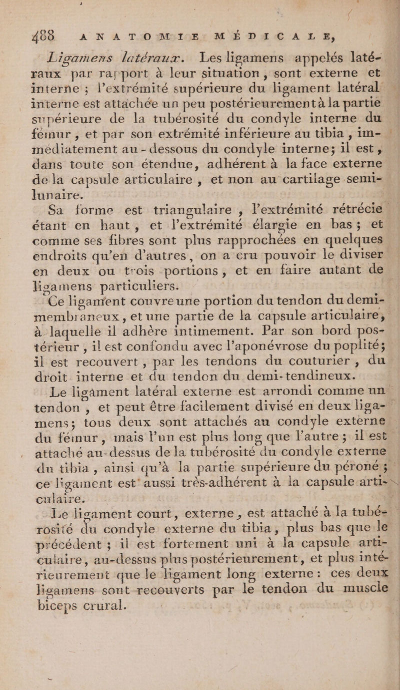 Ligamens latéraux. Les ligamens appelés laté- raux par rapport à leur situation, sont externe et interne est attachée un peu postérieurement à la partie supérieure de la tubérosité du condyle interne du fémur , et par son extrémité inférieure au tibia , im- médiatement au - dessous du condyle interne; il est, dans toute son étendue, adhérent à la face externe de la capsule articulaire , et non au cartilage semi- lunaire. | étant en haut, et l'extrémité élargie en bas; et comme ses fibres sont plus rapprochées en quelques endroits qu’en d’autres, on a cru pouvoir le diviser ligamens particuliers. à laquelle il adhère intimement. Par son bord pos- térieur , il est confondu avec l’aponévrose du poplité; il est recouvert, par les tendons du couturier , du droit. interne et du tendon du demi-tendineux. attaché au-dessus de la tubérosité du condyle externe ÿ | | culaire. rosité du condyle externe du tibia, plus bas quele précédent ; il est fortement uni à la capsule arti- culaire, au-dessus plus postérieurement, et plus inté- rieurement que le ligament long externe: ces deux ligamens sont recouverts par le tendon du muscle biceps crural. | |