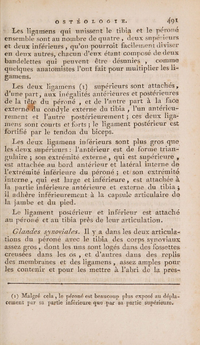 Les ligamens qui unissent le tibia et le péroné ensemble sont au nombre de quatre, deux supérieurs et deux inférieurs, qu'on pourroit facilement diviser en deux autres, chacun d’eux étant composé de deux bandelettes qui peuvent être désunies > Comme quelques anatomistes l’ont fait pour multiplier les li- $amens. Les deux ligamens (1) supérieurs sont attachés, d’une part, aux inégalités antérieures et postérieures de la tête du péroné , et de l’antre part à la face externé du condyle externe du tibia , l’un antéricu- rement et l’autre postérieurement ; ces deux liga- mens sont courts et forts ; le ligament postérieur est fortifié par le tendon du biceps. . Les deux ligamens inférieurs sont plus gros que. les deux supérieurs : l’antérieur est de forme trian- gulaire ; son extrémité externe , qui est supérieure , est attachée au bord antérieur et latéral interne de l'extrémité inférieure du péroné ; et son extrémité interne , qui est large et inférieure, est attachée à il adhère inférieurement à la capsule articulaire de la jambe et du pied. Le ligament postérieur et inférieur est attaché au péroné et au tibia près de leur articulation. .Glandes synoviales. Il y a dans les deux articula- tions du péroné avec le tibia des corps synoviaux assez gros, dont les uns sont logés dans des fossettes creusées dans les os , et d’autres dans des replis des membranes et des ligamens , assez amples pour les contenir et pour les mettre à l’abri de la pres- _) Malgré cela , le péroné est beaucoup plus exposé au dépla cement par sa partie inférieure que par sa partie supérieure.