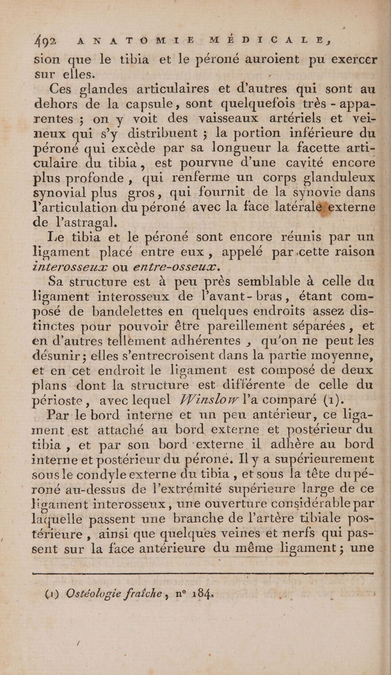 sion que le tibia et le péroné auroïent pu exercer sur elles. Het Ces glandes articulaires et d’autres qui sont au dehors de la capsule, sont quelquefois très - appa- rentes ; on y voit des vaisseaux artériels et vei- neux qui sy distribuent ; la portion inférieure du péroné qui excède par sa longueur la facette arti- culaire du tibia, est pourvue d’une cavité encore plus profonde, qui renferme un corps glanduleux | synovial plus gros, qui fournit de la synovie dans | l'articulation du péroné avec la face latéralélexterne … de l’astragal. Ç | Le tibia et le péroné sont encore réunis par un ligament placé entre eux, appelé par.cette raison _inlerOSSeuT Où EnTTE-0SSEUT. Sa structure est à peu près semblable à celle du ligament interosseux de lavant-bras, étant com- posé de bandelettes en quelques endroits assez dis- tinctes pour pouvoir être pareillement séparées, et en d’autres tellement adhérentes , qu’on ne peut les désunir ; elles s’entrecroisent dans la partie moyenne, et en cet endroit le lisament est composé de deux plans dont la structure est différente de celle du périoste, avec lequel }Jinslor l'a comparé (1). . Par le bord interne et un peu antérieur, ce liga- ment est attaché au bord externe et postérieur du tibia , et par son bord ‘externe il adhère au bord interne et postérieur du pérone. Il y a supérieurement sous le condyle externe du tibia , et sous la tête du pé- roné au-dessus de l'extrémité supérieure large de ce lgament interosseux, une ouverture considérable par laquelle passent une branche de l'artère tibiale pos- térieure , ainsi que quelques veines et nerfs qui pas- sent sur la face antérieure du même ligament ; une (1) Ostéologie fraiche, n° 184.
