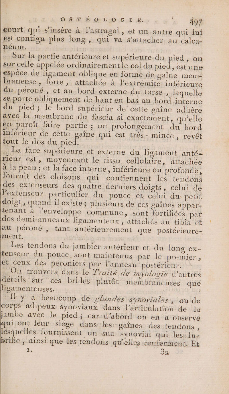\! gourt qui s’insère à l’astragal , et un autre qui lui est contigu plus long , qui va s’attacher au calca- néurm. - Sur la partie antérieure et supérieure du pied , ou sur celle appelée ordinairement le col du pied, est une espèce de lisament oblique en forme de gaîne merm- braneuse , forte | attachée à l'extrémité inférieure du péroné., et au bord. externe du tarse » laquelle se porte obliquement de-haut en bas au bord interne du pied ; le bord supérieur de cette gaîne adhère avec la membrane du fascia si exactement, qu’elle en paroît faire partie ; un prolongement du bord inférieur de cette gaîne qui est trés- mince, revêt tout le dos du pied. La face supérieure et externe du ligament anté- rieur est, moyennant le tissu cellulaire, attachée à la peau ; et la face interne , inférieure ou profonde, fournit des cloisons qui contiennent les tendons des extenseurs des quatre derniers doigts, celui dé lextenseur particulier du pouce et celui du petit doist, quand il existe; plusieurs de ces gaines appar- lenant à l'enveloppe commune, sont fortifices paf des demi-anneaux ligamenteux, attachés au tibia et au péroné | tant antérieurement que postérieure- ment. Les tendons du jambier antérieur et du long ex- tenseur du pouce. sont maintenus par le pretnier , et ceux des péroniers par l'anneau postérieur. On trouvera dans le Traité de mmyolosie d’autres détails sur ces brides plutôt membrancuses que lisamenteuses. LAIT 2 beaucoup de 2landes synoviales , ou de Corps adipeux synoviaux dans l'articulation de la jambe avec le pied; car:d’abord on en a observé qui ont leur siése dans les: gaînes. des tendons , esquelles fournissent un suc synovial qui les, lu brife , ainsi que les tendons qu’elles renfenneént. Et A 32