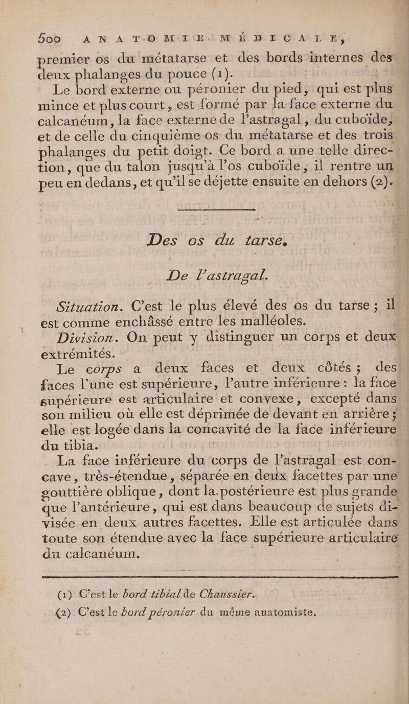 premier os du métatarse et des bords internes des deux phalanges du pouce (1). | Le bord externe ou péronier du pied, qui est plus calcanéum , la face externe de l’astragal, du cuboïde, phalanges du petit doigt. Ce bord a une telle direc-, tion, que du talon jusqu’à l’os cuboïde ; il rentre un. peu en dedans, et qu’ilse déjette ensuite en dehors (2). Des os du tarse, De Î ’astragal. Situation. C’est le plus élevé des os du tarse ; il est comme enchâssé entre les malléoles. | Division. On peut y distinguer un corps et deux extrémités. ‘ : Le corps a deux faces et deux côtés; des supérieure est articulaire et convexe, excepté dans son milieu où elle est déprimée de devant en arrière; du tibia. souttière oblique, dont la.postérieure est plus grande que l’antérieure, qui est dans beaucoup de sujets di- visée en deux autres facettes. Elle est articulée dans toute son étendue avec la face supérieure articulaire du calcanéum. | (1) C’est le bord tibialde Chaussier. €2) C’est le bord péronier du même anatomiste.