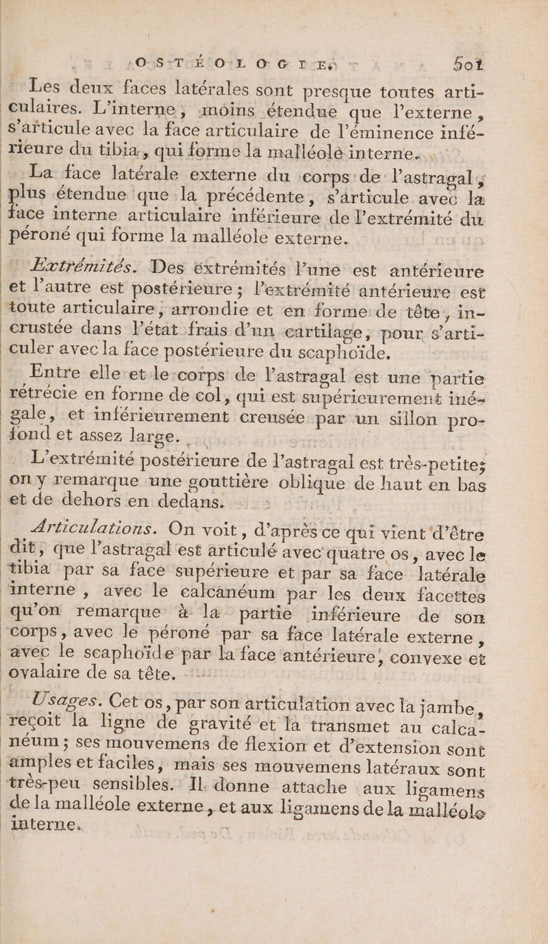 | OSSTTUHÉ OL O G D-Eà : Soi Les deux faces latérales sont presque toutes arti- s'articule avec la face articulaire de l’éminence infé- rieure du tibia, qui forme la malléolé interne. es étendue que la précédente, s'articule avec la ace interne articulaire inférieure de l’extrémité du … Errirémités. Des éxtrémités l’une est antérieure et l’autre est postérieure ; l’extrémité antérieure est toute articulaire; arrondie et en forme: de tête, in- crustée dans létat frais d’un cartilage; pour s'arti- culer avec la face postérieure du scaphoïde, Entre elle et:le:corps de lastragal est une partie gale, et inférieurement creusée par un sillon pro- L’extrémité postérieure de l’astragal est très-petites on y remarque ‘une gouttière oblique de haut en bas et de dehors en dedans. REX Articulations. On voit, d’après ce qui vient d’être dit, que l’astragal est articulé avec quatre os, avec le tibia par sa face supérieure et par sa face latérale qu'on remarque à l4 partie inférieure de son Corps, avec le péroné par sa face latérale externe ; avec le scaphoïde par la face antérieure! convexe et ovalaire de sa tête, Usages. Cet os, par son articulation avec la jambe, amples et faciles, maïs ses mouvemens latéraux sont