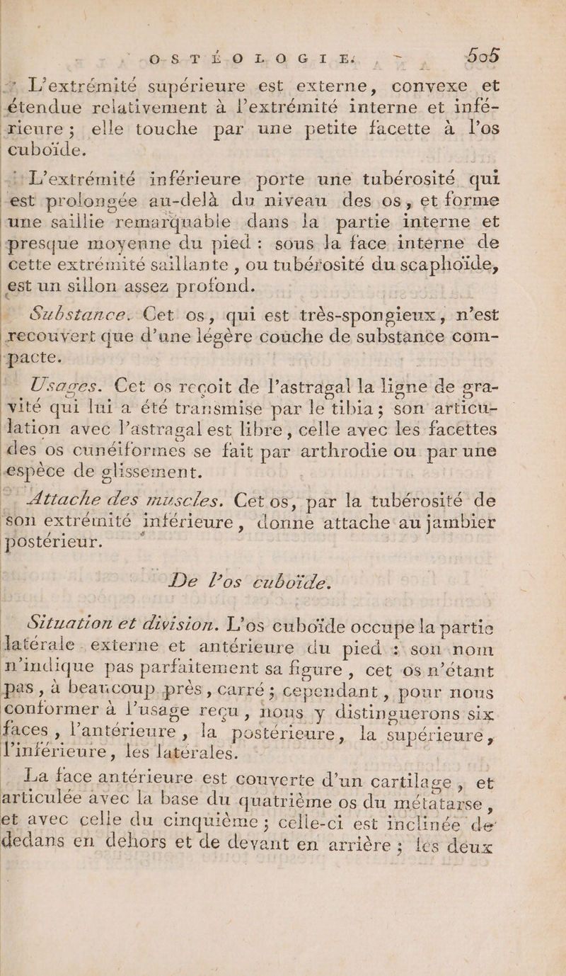 + L’extrémité supérieure est externe, convexe et étendue relativement à l’extrémité interne et infe- rieure ; elle touche par une petite facette à los cuboïde. | it L’extrémité inférieure porte une tubérosité qui est prolongée au-delà du niveau des os, et forme une saillie remarquable dans la partie interne et presque moyenne du pied : sous la face interne de cette extrémité saillante , ou tubérosité du scaphoïde, est un sillon assez profond. | … Substance. Cet os, qui est très-spongieux, n’est recouvert que d’une légère couche de substance com- pacte. Usages. Cet os reçoit de l’astragal la ligne de gra- ‘vité qui lui a été transmise par le tibia; son articu- lation avec lastragal est libre , celle avec les facettes des os cunéiformes se fait par arthrodie ou par une espèce de glissement. | …. Attache des muscles, Cet os, par la tubérosité de ‘son extrémité inférieure, donne attache au jambier postérieur. De los cuboïde. … Gituation ét division. L’os cuboïde occupe la partie Jatérale externe et antérieure du pied : son nom n'indique pas parfaitement sa figure , cet os n'étant pas , à beaucoup près, carré ; cependant, pour nous conformer à l’usage reçu , HONS y distinouerons Six faces » l’antérieure , la postérieure, la supérieure , l’inférieure, les latérales. Fe La face antérieure est couverte d’un cartilace ï @E articulée avec la base du quatrième os du IHéla roue ; et avec celle du cinquième ; celle-ci est inclinée de dedans en dehors et de devant en arrière ; les déux
