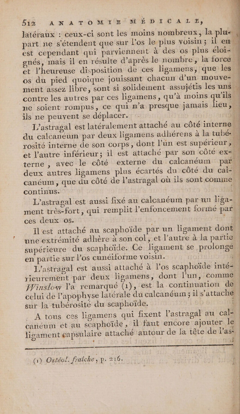 latéraux : ceux-ci sont les moins nombreux, la plus part ne s'étendent que sur l'os le plus voisin ; il em k est cependant qui parviennent à des os plus éloi< nés, mais il en résulte d’après le nombre , la force et l’heureuse disposition de ces ligamens, que Îles M os du pied quoique jouissant chacun d’un mouve- | ment assez libre, sont si solidement assujétis les uns M contre les autres par ces ligamens, qu’à moins qu'ils u ne soient rompus, Ce qui n'a presque jamais lieu, ils ne peuvent se déplacer. L’astragal est latéralement attaché au côté interne du calcanéum par deux ligamens adhérens à la tubé: | rosité intérne de son corps, dont l’un est supérieur, 4 et l’autre inférieur; il est attaché par son côté ex- terne , avec le côté externe du calcanéum par deux autres ligamens plus écartés du côté du cal- | canéum, que du côté de l’astragal où ils sont comme. continus. L'astragal est aussi fixé au calcanéum par un l'ga- ment trés-fort, qui remplit l’enfoncement formé par ces deux 05. ge ilest attaché au scaphoïde par un ligament dont une extrémité adhère à son col, et l’autre à la partie supérieure du scaphoïde. Ce ligament se prolonge en partie sur l’os cunéiforme voisin. LO: 4 Jastragal est aussi attaché à l’os scaphoïde intés | rieurement par deux ligamens, dont l’un, comme Jinslowy Va remarqué (1), est la continuation de celui de l’apophyse latérale du calcanéum ; il s’attaché | sur la tubérosité du scaphoïde. | | . A tous ces ligamens qui fixent l’astragal au cal- canéum et au scaphoïde , il faut encore ajouter le | ligament capsulaire attaché ‘autour de la tête de l'as : | 194 GT (1) Ostéol. fraîche, p. 216.