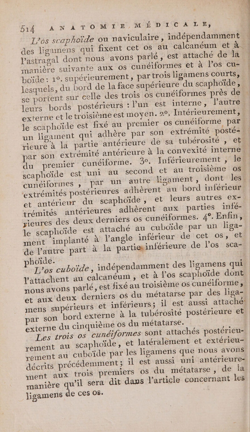 L’6s scaphoïde ou naviculaire , indépendamment des ligamens qui fixent cet os au calcanéum et à : V’astragal dont nous avons parlé, est attaché de la manière suivante aux 08 cunéiformes et à l’os cu- | boïde : 19. supérieurement, par trois ligamens courts, | lesquels, du bord de la face supérieure du scaphoïde , se portent sur celle des trois os cunéiformes près de leurs bords postérieurs : l'un est interne, l’autre. externe et le troisièmé est moyen. 2°. Intérieurement, le scaphoïde est fixé au premier os cunéiforme par un ligament qui adhère par son extrémité postée | rieure à la partie antérieure de sa tubérosité , et par son extrémité antérieure à la convexité interne du premier cunéiforme. 3°. Inférieurement , le scaphoïde est uni au second et au troisième 08 cunéiforines , par un autre lisgament , dont les. ‘extrémités postérieures adhèrent au bord inférieur et antérieur du scaphoïde , et leurs autres ex- trémités antérieures adhèrent aux parties infé- yieures des deux derniers os cunéiformes. 4°. Enfin, le scaphoïde est attaché au cuboïde par un liga- N ment implanté à l’angle inférieur de cet os, et de l'autre part à la parties inférieure de l'os sca- phoïde. | | Los cuboïde, indépendamment des ligamens qui Vattachent au calcanéum, et à l’os scaphoïde dont nous avons parlé, est fixé au troisième os cunéiforme , et aux deux derniers o$ du métatarse par des liga- mens supérieurs €t inférieurs; il est aussi attaché: nar son bord externe x la tubérosité postérieure et externe du cinquième O8 du métatarse. Les trois 0 cunéiformes sont attachés postérieu- rement au scaphoïde , et latéralement et extérieu- rement au cuboïde par les lisamens que nous avons décrits précédemment ; il est aussi uni antérieure- ment aux trois premiers os du métatarse , de Îa manière qu'il sera dit daus l'article concernant les ligamens de ces os.