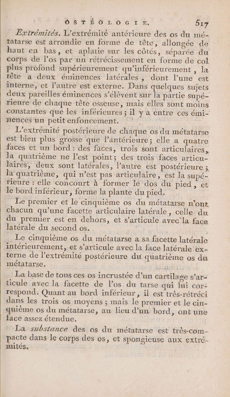 Extrémités. L'extrémité antérieure des os du mé- tatarse est arrondie en forme de tête, allongée de haut en bas, et aplatie sur les côtés, séparée du corps de l’os par un rétrécissement en forme de col plus profond supérieurement qu’inférieurement , la tête a deux éminences latérales, dont l’une est interne, et l’autre est externe. Dans quelques sujets deux pareilles éminences s’élèvent sur la partie supé- rieure de chaque tête osseuse, mais elles sont moins constantes que les inférieures ; il y a entre ces émi- nences un petit enfoncement. 5 se L’extrémité postérieure de chaque os du métatarse est bien plus grosse que l’antérieure; elle a quatre faces et un bord : des faces, trois sont articulaires . la quatrième ne l’est point; des trois faces articu- laïres, deux sont latérales, l’autre est postérieure ; la quatrième, qui n’est pas articulaire, est la supé- rieure : elle concourt à former le dos du pied , et le bord inférieur, forme la plante du pied. Le premier et le cinquième os du métatarse n’ont chacun qu’une facette articulaire latérale, celle du du premier est en dehors, et s'articule ayec'la face latérale du second os. (dt à Le cinquième os du métatarse a sa facette latérale intérieurement, et s'articule avec la face latérale ex- terne de l'extrémité postérieure du quatrième os dis métatarse. | CT BE ps La base de tous ces os incrustée d’un cartilage s’ar- ticule avec la facette de l'os du tarse qui lui cor: respond: Quant au bord inférieur , il est très-rétréci dans les trois os moyens ; mais le premier et le cin- quième os du métatarse, au lieu d’un bord, ont une face assez étendue. Li | La substance des os du métatarse est très-com- pacte dans le corps des os, et spongieuse aux extré. mntés. |