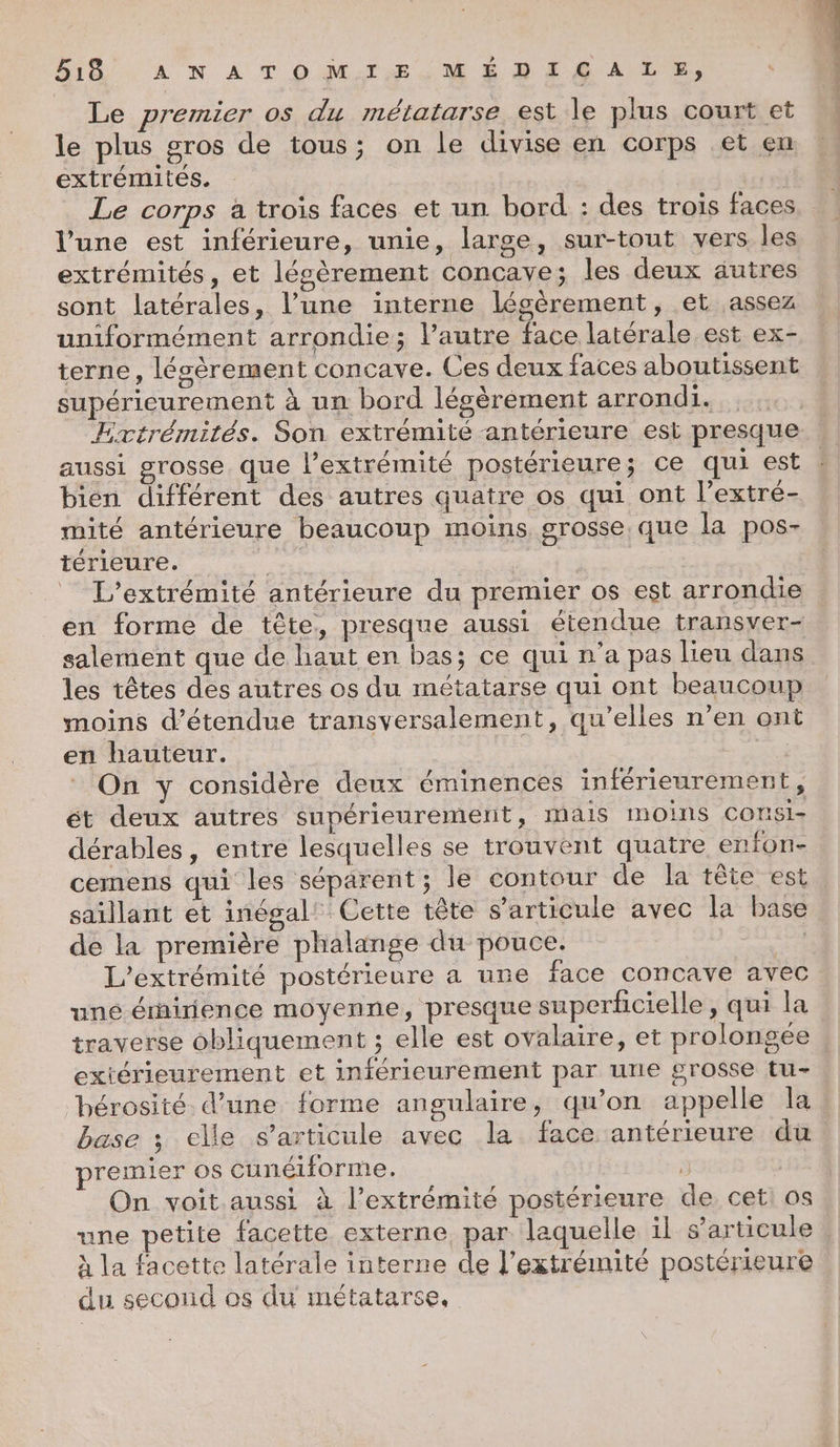 Le premier os du métatarse est le plus court et le plus gros de tous; on le divise en corps et en extrémités. | Le corps à trois faces et un bord : des trois faces l’une est inférieure, unie, large, sur-tout vers les extrémités, et légèrement concave; les deux autres sont latérales, l’une interne légèrement, et assez uniformément arrondie; l’autre face latérale est ex- terne, légèrement concave. Ces deux faces aboutissent supéricurement à um bord légèrement arrondi. | Ertrémités. Son extrémité antérieure est presque aussi grosse que l'extrémité postérieure; ce qui est bien différent des autres quatre os qui ont l’extre- mité antérieure beaucoup moins grosse. que la pos- térieure. | | L’extrémité antérieure du premier os est arrondie en forme de tête, presque aussi étendue transver- salement que de haut en bas; ce qui n'a pas lieu dans les têtes des autres os du métatarse qui ont beaucoup moins d’étendue transversalement, qu’elles n’en ont en hauteur. On y considère deux éminences inférieurement, ét deux autres supérieurement, mais moins COnSI- dérables, entre lesquelles se trouvent quatre enfon- cemens qui les séparent; le contour de la tête est saillant et inégal! Cette tête s'articule avec la base de la première phalange du pouce. de L'extrémité postérieure a une face concave avec uné érauience moyenne, presque superficielle, qui la traverse obliquement ; elle est ovalaire, et prolongée extérieurement et intérieurement par unie grosse tu- hérosité d’une forme angulaire, qu'on appelle la: base ; elle s'articule avec la face antérieure du premier os cunéiforme. ÿ | On voit aussi à l’extrémité postérieure de cet: os une petite facette externe par laquelle il s'articule à la facette latérale interne de l'extrémité postérieure du second os du métatarse, |