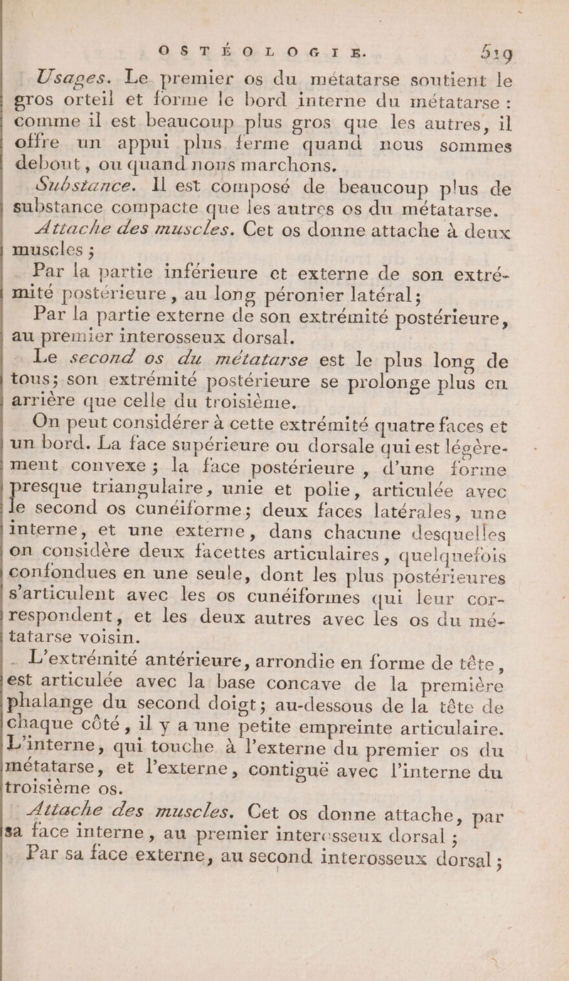 Usages. Le. premier os du métatarse soutient le gros orteil et forme le bord interne du métatarse : comme il est beaucoup plus gros que les autres, il offre un appui plus ferme quand nous sommes debout, ou quand nous marchons, Substance. Il est composé de beaucoup plus de substance compacte que les autres os du métatarse. | Attache des muscles. Cet os donne attache à deux | muscles ; Par la partie inférieure et externe de son extré- | mité postérieure, au long péronier latéral ; Par la partie externe de son extrémité postérieure, | au premier interosseux dorsal. | Le second os du métatarse est le plus long de | tous; son extrémité postérieure se prolonge plus en | arrière que celle du troisième. | On peut considérer à cette extrémité quatre faces et | un bord. La face supérieure ou dorsale qui est lésère- | ment convexe ; la face postérieure , d’une forme | presque triangulaire, unie et polie, articulée avec le second os cunéiforme; deux faces latérales, une |interne, et une externe, dans chacune desquelles |on considère deux facettes articulaires , quelquefois | confondues en une seule, dont les plus postérieures s’articulent avec les os cunéiformes qui leur cor- |respondent, et les deux autres avec les os du mé- tatarse voisin. |- L’extrémité antérieure, arrondie en forme de tête k Lest articulée avec la base concave de la première iphalange du second doigt; au-dessous de la tête de chaque côté, il y a une petite empreinte articulaire. L'interne, qui touche à l’externe du premier os du métatarse, et l’externe, contigué avec l’interne du troisième os. | | Attache des muscles. Cet os donne attache, par. sa face interne , au premier intercsseux dorsal ; Par sa face externe, au second interosseux dorsal ;
