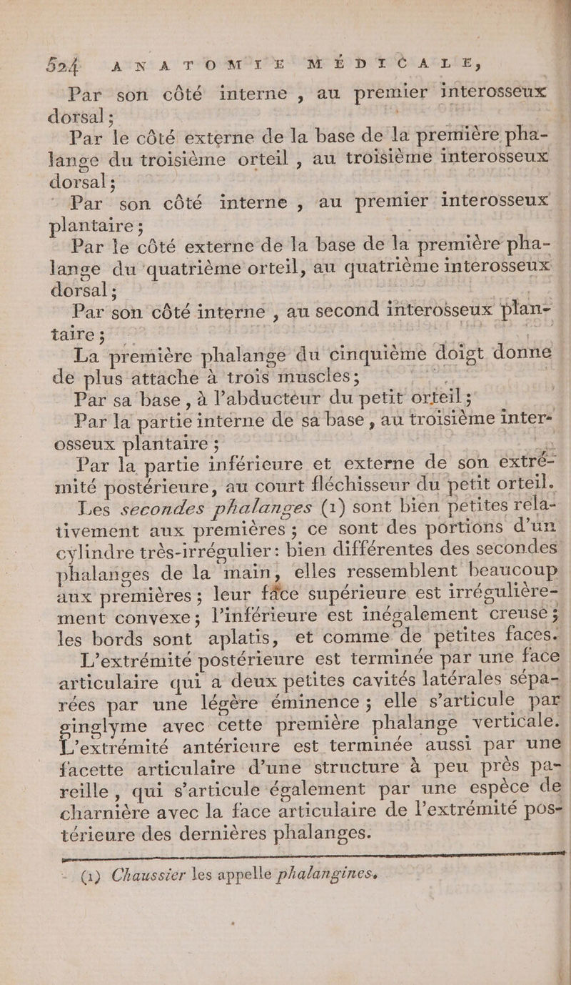 5h “AIN: A TO MMPOr PE A END CNALLIE, Par son côté interne , au premier interosseux dorsal ; | FA sg. | Par le côté externe de la base de la première pha- lange du troisième orteil , au troisième interosseux dorsal ; | Par son côté interne , au premier interosseux plantaire ; | Par le côté externe de la base de la première pha- lanse du quatrième orteil, au quatrième interosseux dorsal ; de M Par son côté interne , au second interosseux plan- tree d Ts se La première phalange du cinquième doigt donne de plus attache à trois muscles; es | Par sa base, à l’abductéur du petit orteil ; Par la partie intérne de sa base , au troisième inter- osseux plantaire ; = Par la partie inférieure et externe de son extré- mité postérieure, au court fléchisseur du petit orteil. Les secondes phalanges (1) sont bien petites rela- tivement aux premières ; ce sont des portions d’un cylindre très-irrégulier: bien différentes des secondes. phalanges de la main, elles ressemblent beaucoup aux premières ; leur fâce supérieure est irrégulière- ment convexe; l’inférieure est inégalement creusé 3. les bords sont aplatis, et comme de petites faces. L’extrémité postérieure est terminée par une face articulaire qui à deux petites cavités latérales sépa- rées par une légère éminence ; elle s'articule par ginglyme avec cette première phalange verticale. L'extrémité antérieure est terminée aussi par une facette articulaire d’une structure à peu près pa= reille, qui s'articule également par une espèce de charnière avec la face articulaire de l’extrémité pos- térieure des dernières phalanges. ARE RME SE