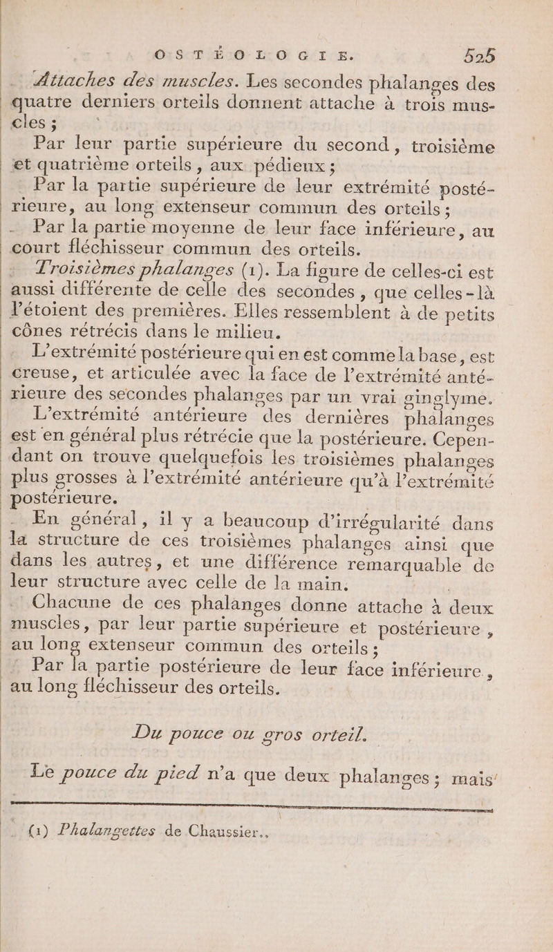 OSTÉO LOG I E£. af Attaches des muscles. Les secondes phalanges des quatre derniers orteils donnent attache à trois mus- cles ; Par leur partie supérieure du second , troisième et quatrième orteils , aux pédieux ; Par la partie supérieure de leur extrémité posté- Par la partie moyenne de leur face inférieure, au . Troisièmes phalanges (1). La figure de celles-ci est aussi différente de celle des secondes , que celles-là cônes rétrécis dans le milieu. L’extrémité postérieure qui en est commela base, est creuse, et articulée avec la face de l’extrémité anté- L’extrémité antérieure des dernières phalanges est en général plus rétrécie que la postérieure. Cepen- dant on trouve quelquefois les troisièmes halances + 4 / ? fa CAN P Fa Q r lus grosses à l’extrémité antérieure qu’à l’extrémité EPS GI q postérieure. : En général, il y a beaucoup d’irrésularité dans la structure de ces troisièmes phalanges ainsi que leur structure avec celle de la main. Chacune de ces phalanges donne attache à deux au long extenseur commun des orteils ; Par la partie postérieure de leur face inférieure, au longs fléchisseur des orteils. Du pouce ou gros orteil. Le pouce du pied n’a que deux phalanges ; maïs’ Vs) Phalangettes de Cheussier..