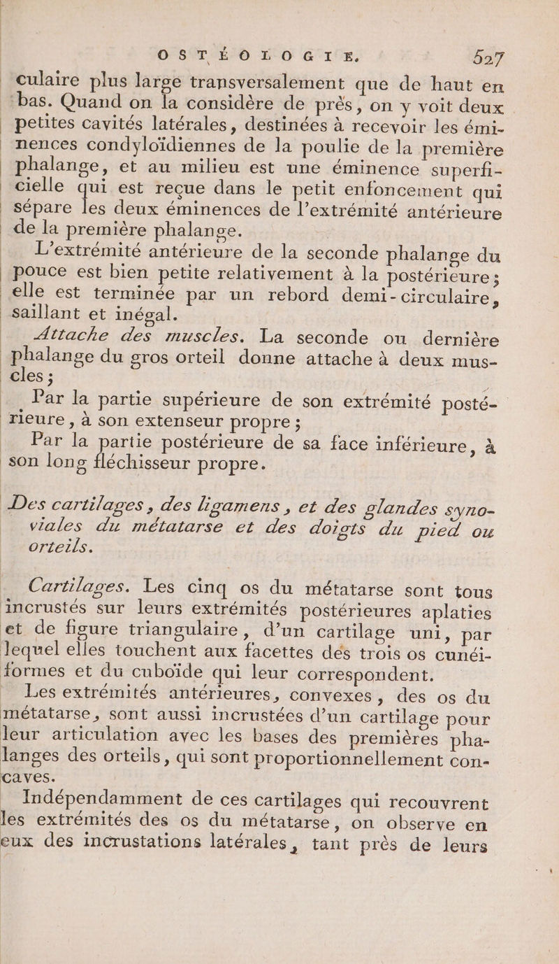 ? culaire plus large transversalement que de haut en bas. Quand on la considère de près, on y voit deux | petites cavités latérales, destinées à recevoir les émi- _ nences condyloïdiennes de la poulie de la première _ phalange, et au milieu est une éminence superfi- cielle qui est reçue dans le petit enfoncement qui | sépare les deux éminences de l’extrémité antérieure _ de la première phalange. L’extrémité antérieure de la seconde phalangse du pouce est bien petite relativement à la postérieure ; elle est terminée par un rebord demi- circulaire , saillant et inésal. | Attache des muscles. La seconde ou dernière _phalange du gros orteil donne attache à deux mus- cles ; ; __ Par la partie supérieure de son extrémité posté rieure , à son extenseur propre ; Par la partie postérieure de sa face inférieure, à son long fléchisseur propre. Des cartilages, des ligamens , et des glandes syno- viales du métatarse et des doigts du pied ou orteils. Cartilages. Les cinq os du métatarse sont tous incrustés sur leurs extrémités postérieures aplaties et de figure triangulaire, d’un cartilage uni, par lequel elles touchent aux facettes dés trois os cunéi- formes et du cuboïde qui leur correspondent. Les extrémités antérieures, convexes, des os du métatarse, sont aussi incrustées d’un cartilage pour leur articulation ayec les bases des premières pha- langes des orteils, qui sont proportionnellement con- caves. _ Indépendamment de ces cartilages qui recouvrent les extrémités des os du métatarse, on observe en eux des incrustations latérales , tant prés de leurs