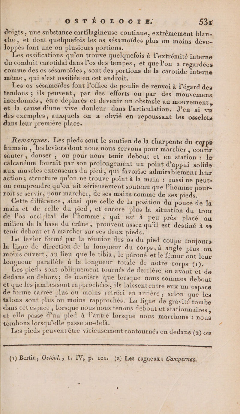 LÉ OSTÉOLOGIE. 53% | doigts, une substance cartilagineuse continue, extrêmement blan- che, et dont quelquefois les os sésamoïdes plus ou moins déve- loppés font une ou plusieurs portions. Les ossifications qu’on trouve quelquefois à l'extrémité interne du conduit carotidal dans l’os des tempes, et que l’on a regardées | comme des os sésamoïdes , sont des portions de la carotide interne même , qui s’est ossifiée en cet endroit. Les os sésamoïdes font l'office de poulie de renvoi à l'égard des tendons ; ils peuvent, par des efforts ou par des mouvemens inordonnés , être déplacés et devenir un obstacle au mouvement , et la cause d’une vive douleur dans l'articulation. J'en ai vu | des exemples, auxquels on a obvié en repoussant les osselets dans leur première place. Remarques. Les pieds sont le soutien de la charpente du corps humain , Les leviers dont nous nous servons pour marcher, coutir sauter , danser , ou pour nous tenir debout et en station : le calcanéum fournit par son prolongement un point d'appui solide aux muscles extenseurs du pied, qui favorise admirablement leur action ; structure qu’on ne trouve point à la main : aussi ne peut= on comprendre qu'on ait sérieusement soutenu que l’homme pour roit se servir, pour marcher, de ses mains comme de ses pieds. Cette différence , ainsi que celle de la position du pouce de la main et de celle du pied, et encore plus la situation du trou de los occipital de lPhomme ; qui est à peu près placé au milieu de la base du crâne, prouvent assez qu’il est destiné à se tenir debout et à marcher sur ses deux pieds. Le levier formé par la réunion des os du pied coupe toujours la ligne de direction de la longueur du corps, à angle plus ou moins ouvert, au lieu que le tibia, le péroné et le fémur ont leur longueur parallèle à la longueur totale de notre corps (1). Les pieds sont obliquement tournés de derrière en avant et de dedans en dehors; de manière que lorsque nous sommes debout et que les jambes sont rapprochées, ils laïissententre eux un espace de forme carrée plus ou moins retréci en arrière » Selon que les talons sont plus ou moins rapprochés. La ligne de gravité tombe dans cetespace, lorsque nous nous tenons debout et stationnaires ; et elle passe d’un pied à l’autre lorsque nous marchons : nous tombons lorsqu'elle passe au-delà. Les pieds peuvent être vicieusement contournés en dedans (2) ou CAPES EE RE RE SSR DR (1) Bertin, Ostéol., 1, IV, p. 101 (2) Les cagneux: Compernes,