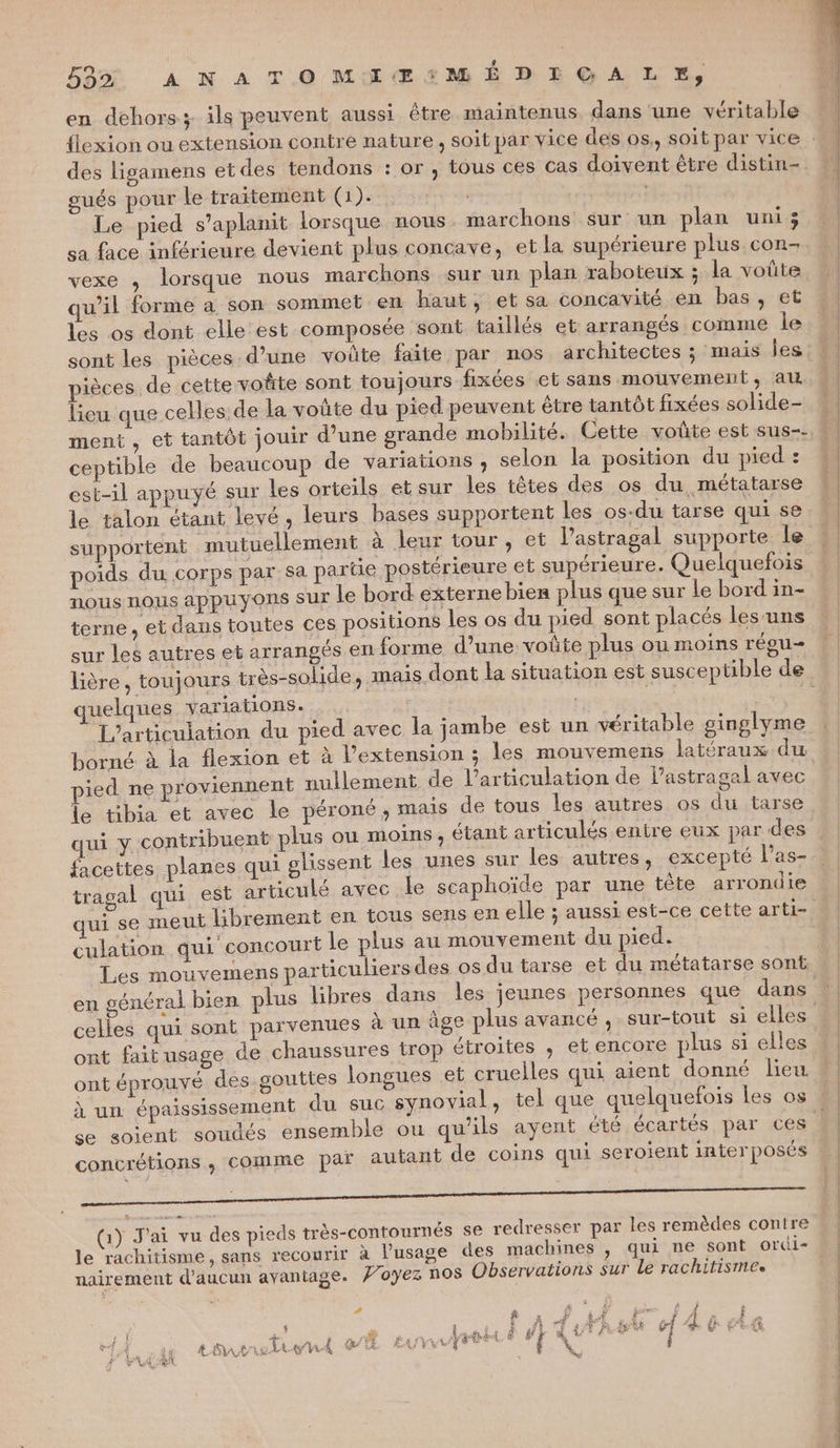 593% À NA TO MAÂEIMÉDEGALE, en dehors; ils peuvent aussi être maintenus dans une véritable des ligamens etdes tendons : or ; tous ces cas doivent être distin- gués pour le traitement (1). | Le pied s’aplanit lorsque nous marchons sur un plan uni; sa face inférieure devient plus concave, et la supérieure plus con- vexe , lorsque nous marchons sur un plan raboteux ; la voüte wil forme a son sommet en haut, et sa concavité en bas, et les os dont elle est composée sont taillés et arrangés comme le sont les pièces d’une voûte faite par nos architectes ; mais les ièces de cette vofte sont toujours fixées et sans mouvement, au lieu que celles. de la voûte du pied peuvent être tantôt fixées solide- ceptible de beaucoup de variations , selon la position du pied : est-il appuyé sur les orteils etsur les têtes des os du métatarse le talon étant levé, leurs bases supportent les os-du tarse qui se poids du corps par sa partie postérieure et supérieure. Quelquefois nous nous appuyons Sur le bord externe bien plus que sur le bord in- terne, et dans toutes ces positions les os du pied sont placés les-uns sur les autres et arrangés en forme d’une: voüte plus ou moins régu- uelques variations. À L’articulation du pied avec la jambe est un véritable ginglyme borné à la flexion et à l’extension ; les mouvemens latéraux du pied ne proviennent nullement de l'articulation de l’astragal avec le tibia et avec le péroné, mais de tous les autres os du tarse tribuent plus ou moins , étant articulés entre eux par des lanes qui glissent les unes sur les autres, excepté l’as- ulé avec le scaphoïde par une tête arrondie qui y con facettes p tragal qui est artic culation qui concourt le plus au mouvement du pied. Les mouvemens particuliers des os du tarse et du métatarse sont celles qui sont parvenues à un âge plus avancé, sur-tout si elles ont fait usage de chaussures trop étroites , et encore plus si elles ont éprouvé des gouttes longues et cruelles qui aient donné bleu se soient soudés ensemble ou qu’ils ayent été écartés par ces concrétions, comme par autant de coins qui seroient interposés (1) J'ai vu des pieds très-contournés se redresser par les remèdes contre le rachitisme, sans recourir à l'usage des machines , qui ne sont orti- nairement d'aucun avantage. #’oyez nos Observations sur Le rachitismes # d £ A PROPOS DNS AT alt D UT “+ 5» . dotut A TutAa gt era HE ue tonarelewnd GE EUVTV