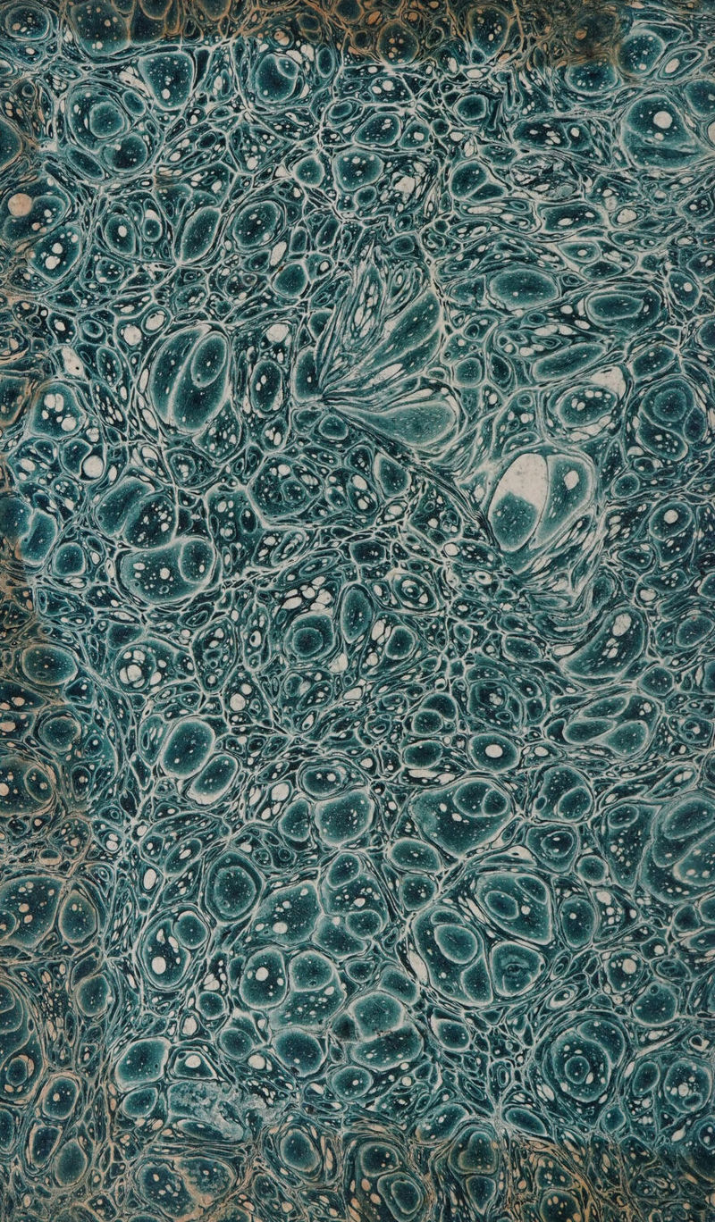 No text description is available for this image