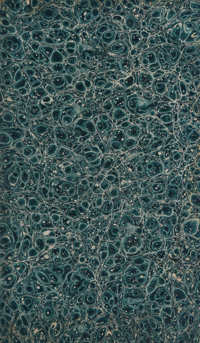 No text description is available for this image