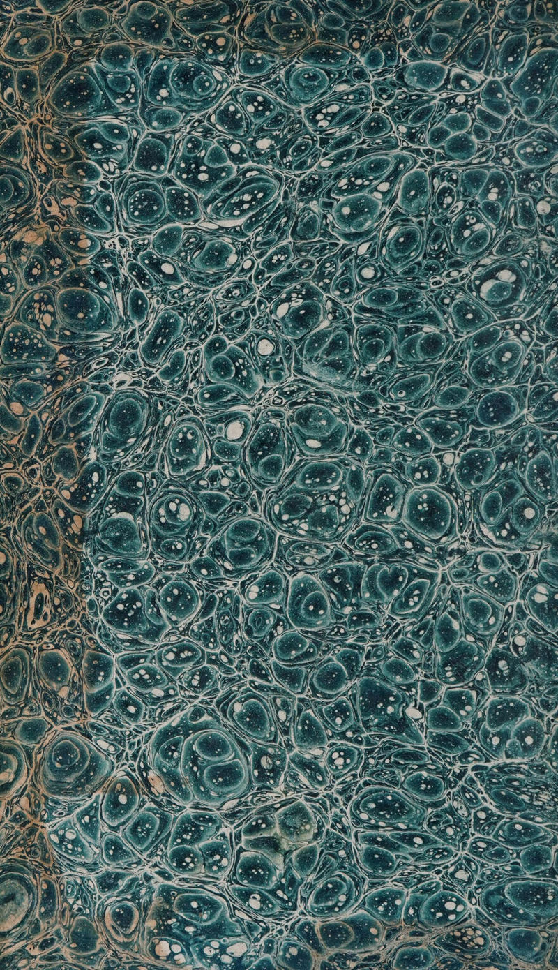 No text description is available for this image