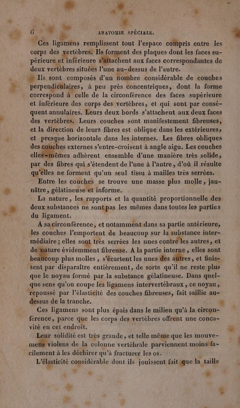 # à ” me 2. L 6 mn ANATOMIE SPÉCIALE. ÿ K:1 a Ces ligaméns remplissent tout l’espace compris entre les corps des xertèbres. Els forment des plaques dont les faces su- périeure et inférieure lattachent aux faces correspondantes de deux vertèbres situées l’une au-dessus de l’autre. | æ Ils sont composés d’un nombre considérable de couches perpendiculaires, à peu près concentriques, dont la forme correspond à celle de la circonférence des faces supérieure et inférieure des corps des vertèbres, et qui sont par consé- quent annulaires. Leurs deux bords s’attachent aux deux faces des vertèbres. Leurs couches sont manifestement fibreuses, et la direction de leurs fibres est oblique dans les extérieures» et presque horizontale dans les internes. Les fibres obliques des couches externes s’entre-croisent à angle aigu. Les couches elles-mêmes adhèrent ensemble d’une manière très solide; par des fibres qui s'étendent de l’une à l’autre , d’où il résulte qu’elles ne forment qu’un seul tissu à mailles très serrées. Entre les couches se trouve une masse plus molle, jau- nâtre , gélatineuse et informe. | La nature, les rapports et la quantité proportionnelle des: deux substances ne sontipas les mêmes dans toutes les parties du ligament. | À sacirconférence, et notamment dans sa partie antérieure, les couches l’emportent de beaucoup sur la substance inter- médiaire ; elles sont très serrées les unes contré les autres, et de nature évidemment fibreuse. A la partie interne ; elles sont beaücoup plus molles , s’écartent les unes des aütres, et finis- sent par disparaître entièrement, de sorte qu’il ne reste plus que le noyau formé par la substance gélatineuse. Dans quel- que sens qu’on coupe les ligamens intervertébraux , ce noyau, repoussé par l’élasticité des couches fibreuses, fait saillie au- dessus de la tranche. é Ces ligamens sont plus épais dans le milieu qu’à la circon- férence, parce que les corps des vertèbres offrent une conca- vité en cet endroit. Leur solidité est très grande, et telle même que les mouve- melléfviolens de la colonne vertébrale parviennent moins’ fa- cilement à les déchirer qu’à fracturer les os. | L’élasticité considérable dont ils jouissent fait que la taille L LA