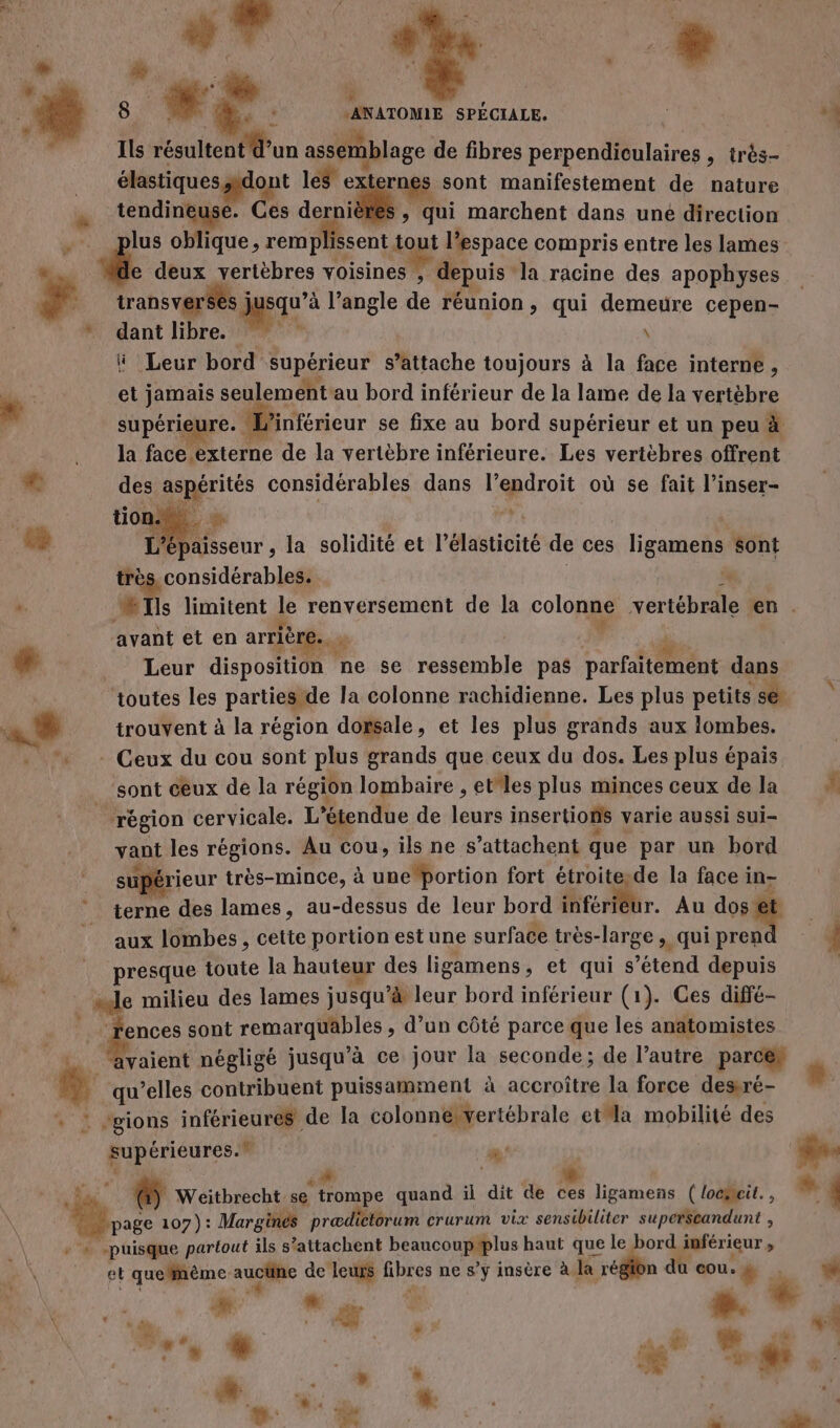 L 2 à Ê } + à f è L 4 8 %$- | ANATOMIE SPÉCIALE. Ils résultent d’un assemblage de fibres perpendiculaires , irès- élastiques dont les ex ernes sont manifestement de nature … tendineuse. Ces dernières , qui marchent dans uné direction ... plus oblique, remplissent top l’espace compris entre les lames deux vertèbres voisines , depuis ‘la racine des apophyses F transverses jusqu'à l’angle de réunion, qui demeure cepen- *. dant libre. °*° \ Ü Leur bord supérieur s’attache toujours à la face interne, #: +. et jamais seulement au bord inférieur de la lame de la vertèbre supérieure. L’inférieur se fixe au bord supérieur et un peu à la face externe de la vertèbre inférieure. Les vertèbres offrent #: des aspérités considérables dans l’endroit où se fait l’inser- ka épaisseur , la solidité et l’élasticité de ces ligamens sont trés considérables. “ avant et en arrière. » | : als # Leur disposition ne se ressemble pas parfaitement dans | toutes les parties\de la colonne rachidienne. Les plus petits se +. trouvent à la région dorsale, et les plus grands aux lombes. - Ceux du cou sont plus grands que ceux du dos. Les plus épais sont ceux de la région lombaire , etles plus minces ceux de la | région cervicale. L'étendue de leurs insertions varie aussi sui- yant les régions. Au cou, ils ne s’attachent que par un bord supérieur très-mince, à une ‘portion fort étroitesde la face in- terne des lames, au-dessus de leur bord inférieur. Au ue à aux lombes, cette portion est une surface très-large , qui prend | presque toute la hauteur des ligamens, et qui s'étend depuis ….le milieu des lames jusqu’à leur bord inférieur (1). Ces diffé- ; rences sont remarquables , d’un côté parce que les anatomistes _ ‘avaient négligé jusqu’à ce jour la seconde; de l’autre parce LA qu’elles contribuent puissamment à accroître la force desiré- + : ‘gions inférieures de la colonnervertébrale etla mobilité des supérieures. # | Fe , de. \ ä 1 i ” LI à 6 Weitbrecht se trompe quand il dit de ces ligamens ( locëeit., ue 107): Margines prœædietorum crurum vix sensibiliter superSeandunt , + + puisque partout ils s’attachent beaucoupiplus haut que à inférieur » et quelnème aucune de leurs fibres ne s’y insère à la région du eou. + h + æ. à » 4 #. fr  % #
