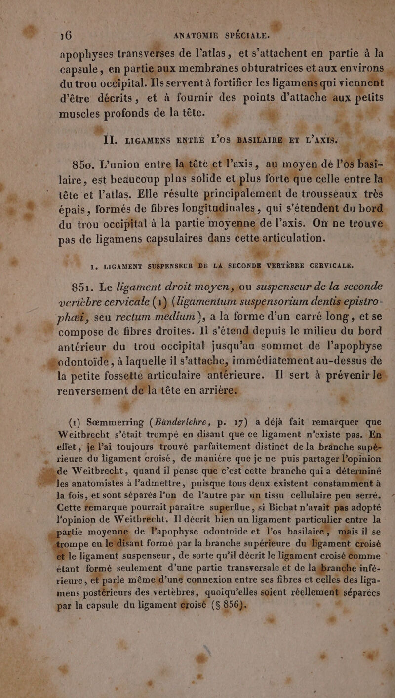 # apophyses transvêrses de l’atlas, et s’attachent en partie à la capsule, en partie aux membranes obturatrices et aux environs, du trou occipital. Ils servent à fortifier les ligamensqui viennent d’être décrits, et à fournir des points d'attache aux petits muscles profonds de la tête. ä % es 4 | b » 850. L'union entre lawtête et l’axis, au moyen dé rés Past: 4 laire, est beaucoup plns solide et plus forte Que celle entre la tête et l’atlas. Elle résulte principalement de trousseaux très du trou occipital à la partie moyenne de l’axis. On ne trouve, _ pas de ligamens capsulaires dans cette articulation. di % ” 1. LIGAMENT SUSPENSEUR ‘DE LA FFE VERTÈBRE CERVICALE. y t 851. Le ligament droit moyen,tou suspenseur de la seconde vertèbre cervicale (1) (ligamentum suspensorium dentisepistro- . phæï, seu rectum médium), a la forme d’un carré long, et se # compose de fibres droites. 11 s'étend depuis le milieu du bord _ antérieur du trou occipital jusqu’au sommet de l’apophyse Modontoïdé , à laquelle il s’attache, immédiatement au-dessus de la petite fossette articulaire antérieure. Il sert à prévenir le. renversement dela tête en arrières F re (1) Sœmmerring (Bänderlehre, p. 17) a déjà fait remarquer que Weitbrecht s'était trompé en disant que ce ligament n’existe pas. n + effet, je l'ai toujours trouvé parfaitement distinct de la branche supé- rieure du ligament croisé, de manière que je ne puis partager l'opinion de Weitbrecht, quand il pense que c’est cette branche qui a déterminé les anatomistes à l’admettre, puisque tous deux existent constamment à la fois, et sont séparés l’un de l’autre par un tissu cellulaire peu serré. - Cette remarque pourrait paraître superflue , si Bichat n’avait pas adopté Fopinion de Weitbrecht. Il décrit bien un ligament particulier entre la to moyenne de lapophyse odontoïde et l'os basilaires mais il se Li 7 ï ompe en lefdisant formé par la branche supérieure du igament croisé €t le ligament suspenseur, de sorte qu’il décrit le ligament croisé Comme étant formé seulement d’une partie transversale ét de lab anche infé- rieure , Moule mêmeïd’uné connexion entre ses fibres et celles des liga- mens postérieurs des vertèbres, quoiqu’elles soient réellement séparées 4 par la capsule du ligament €roisé (S 856). ’ | 4 | + Li ‘2 * [2 h ': LA Le ; % #