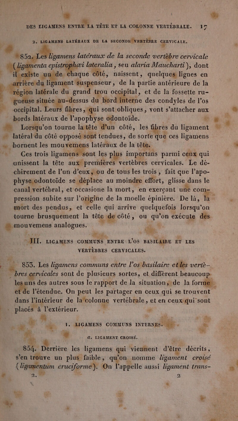 | L: à | DES EIGAMENS ENTER TÊTE ET LA COLONNE VERTÉBRALE. 1] 7 4 s# 2. LIGAMENS LATÉBAUX DE LA SECONDEÔVERTÈBRE CERVICALE,. 852 Les ligamens latéraux de la seconde vertèbre cervicale 9-r LP PUR A te un de chaque côté, naissent, quelques lignes en ièredu ligament suspenseur, de la partie antérieure de la gion latérale du grand trou occipital, et de la fossette ru- guéuse située au-dessus du bord interne des condyles de l'os occipital. Leurs fibres, qui sont obliques, vont s’attacher aux bords latéraux de l’apophyse odontoïde. &lt; La Cd latéral du côté opposé sont tendues, de sorte que ces ligamens bornent les mouvemens latéraux de la tête. Ces trois ligamens sont les plus importans parmi ceux qui unissent la tête aux! premières vertèbres cervicales. Le dé- chirement de l’un d'eux, ou de tous les trois, fait que l’apo- physeodontoïde se déplace au moindre effort, glisse dans le canal vertébral, et occasione la mort, en exerçant une com- mort des pendus, et celle qui arrive quelquefois lorsqu’on tourne brusquement la tête de côté, ou qu’on exécute des sé 3 2. De * u + AIT. LIGAMENS COMMUNS ENTRE L'OS BASILAIRE ET LES VÉRTÈBRES CERVICALES. 853. Les Agamens communs entre l’os basilaire etes vertè- bres cervicales sont de plusieurs sortes, et diffèrent beaucoup. et de l'étendue. On peut les partager en ceux qui se trouvent dans l’intérieur de la colonne vertébrale, et en ceux qui sont r ON RSS f placés à l'extérieur. F à” US M ÿ 1. LIGAMENS COMMUNS INTERNES. ++. F = . d x “ LA A à + + LIGAMENT CROISÉ. 854. Derrière les ligamens qui viennent d’être décrits, s’en trouve un plus faible, qu'on nomme Zgament croisé . # £ . A ds, le (ligamentum cruciforme). On l'appelle aussi igament trans- L]