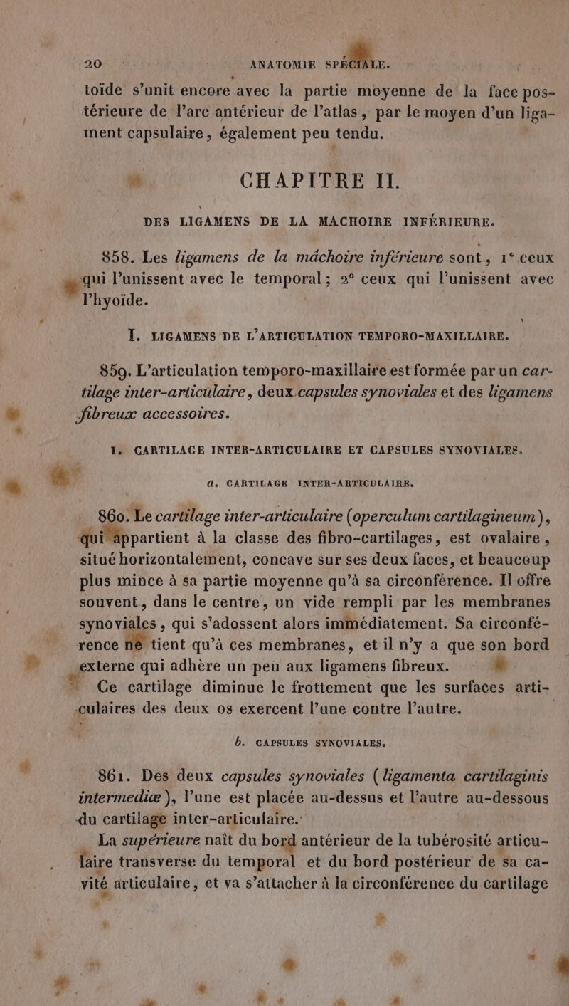 O2 0: | ANATOMIE . toïde s’unit encore avec la partie moyenne de la face pos- térieure de l’arc antérieur de l’atlas , par le moyen d’un liga- ment capsulaire, également peu tendu. nl CHAPITRE II. DES LIGAMENS DE LA MACHOIRE INFÉRIEURE. 858. Les ligamens de la mâchoire inférieure sont, 1° ceux LE l’unissent avec le temporal; 2° ceux qui l’unissent avec l’hyoïde. ÏJ. LIGAMENS DE L’ARTICULATION TEMPORO-MAXILLAIRE. 859. L’articulation temporo-maxillaire est formée par un car- tilage inter-articulaire , deux capsules synoviales et des ligamens Le fibreux accessoires. 1. CARTILAGE INTER-ARTICULAIRE ET CAPSULES SYNOVIALES. DL: LL d. CARTILAGE INTER-ARTICULAIRE. 860. Le cartilage inter-articulaire (operculum cartilagineum), quivappartient à la classe des fibro-cartilages, est ovalaire , situé horizontalement, concave sur ses deux faces, et beaucoup plus mince à sa partie moyenne qu’à sa circonférence. Il offre souvent. dans le centre, un vide rempli par les membranes synoviales ,quis 'adpssens alors immédiatement. Sa circonfé- rence ne tient qu’à ces membranes, et il n’y a que son bord Fr «externe qui adhère un peu aux ligamens fibreux. LI Ge cartilage diminue le frottement que les surfaces arti- culaires des deux os exercent l’une contre l’autre. | Bb. GAPSULES SYNOVIALES. 801. Des deux capsules synoviales (ligamenta cartilaginis intermediæ ), l’une est placée au-dessus et l’autre au-dessous du cartilage inter-articulaire. La supérieure naît du bord antérieur de la tubérosité articu- lire transverse du temporal et du bord postérieur de sa ca- vité articulaire, et va s'attacher à la circonférence du cartilage * LI LE &amp; * Li à