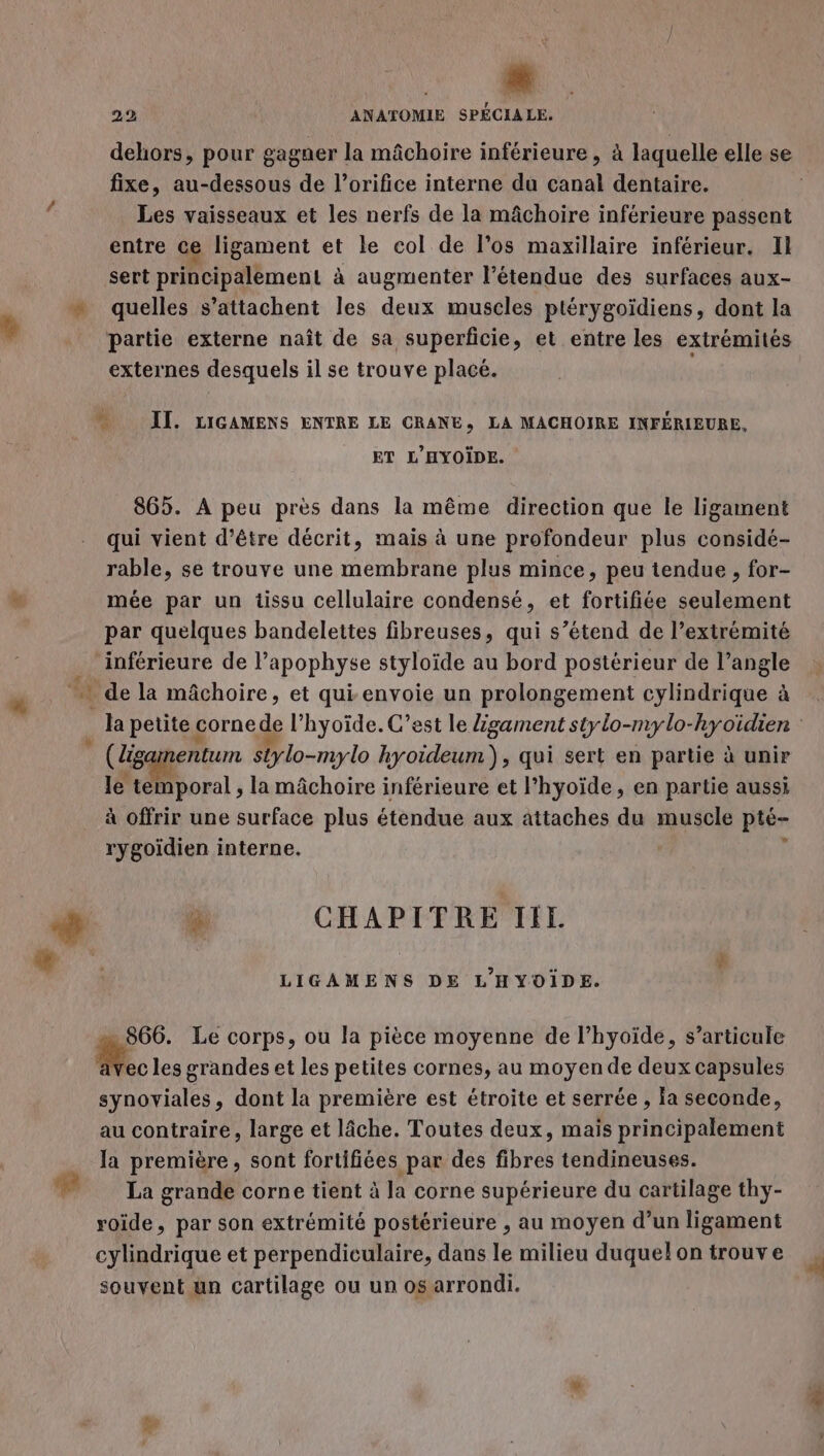 9 2% ANATOMIE SPÉCIALE. dehors, pour gagner la mâchoire inférieure , à laquelle elle se fixe, au-dessous de l’orifice interne du canal dentaire. | f Les vaisseaux et les nerfs de la mâchoire inférieure passent entre ce ligament et le col de l'os maxillaire inférieur. Il sert principalement à augmenter l'étendue des surfaces aux- « quelles s’attachent les deux muscles ptérygoïdiens, dont la + partie externe naît de sa superficie, et entre les extrémités externes desquels il se trouve placé. | … II. LIGAMENS ENTRE LE CRANE, LA MACHOIRE INFÉRIEURE, ET L'HYOÏDE. 865. À peu près dans la même direction que le ligament qui vient d’être décrit, mais à une profondeur plus considé- rable, se trouve une membrane plus mince, peu tendue , for- L mée par un tissu cellulaire condensé, et fortifiée seulement par quelques bandelettes fibreuses, qui s’étend de l’extrémité inférieure de l’apophyse styloïde au bord postérieur de l’angle de la mâchoire, et qui envoie un prolongement cylindrique à la petite cornede l’hyoïde. C’est le igament stylo-mylo-hyoïidien (iganentun : RER Lo qui né LS LRU à unir le temporal , la mâchoire inférieure et l’hyoïde, en partie aussi à offrir une surface plus étendue aux attaches du muscle pté- rygoïdien interne. ; æ ÿ CHAPITRE IL | enuues DE L'HYOÏDE. . 866. Le corps, ou la pièce moyenne de l’hyoïde, s’articule Me les grandes et les petites cornes, au moyen de deux capsules synoviales, dont la première est étroite et serrée , la seconde, au contraire, large et lâche. Toutes deux, mais principalement __ Ja première, sont fortifiées par des fibres tendineuses. Pa grande corne tient à la corne supérieure du cartilage thy- roïide, par son extrémité postérieure , au moyen d’un ligament cylindrique et perpendiculaire, dans le milieu duquel on trouve souvent un cartilage ou un os arrondi.