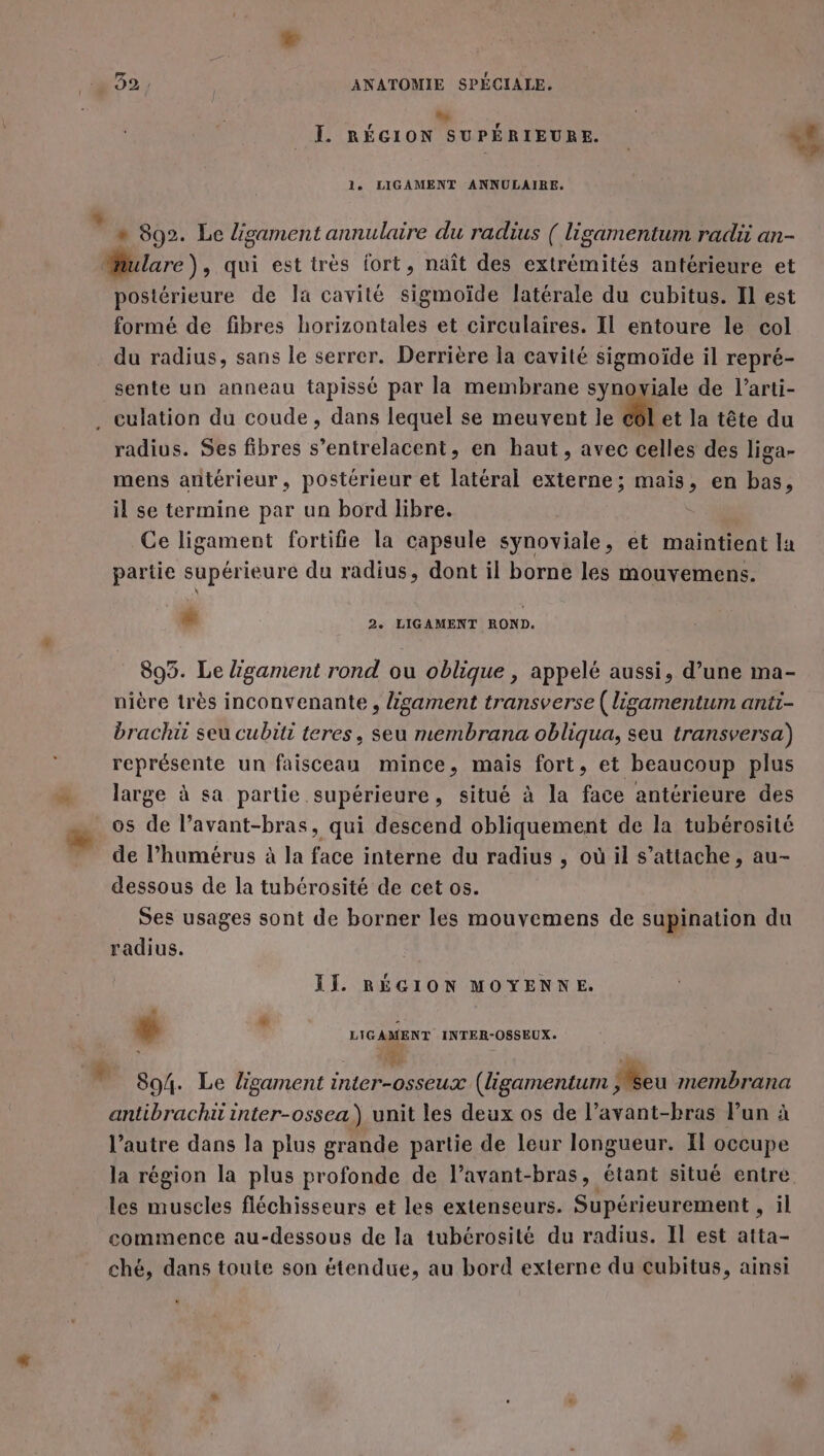 di | I. RÉGION SUPÉRIEURE. ds le LIGAMENT ANNULAIRE. LE” 892. Le ligsament annulaire du radius ( ligamentum radii an- lare), qui est très fort, naît des extrémités antérieure et postérieure de la cavité sigmoïde latérale du cubitus. Il est formé de fibres horizontales et circulaires. Il entoure le col du radius, sans le serrer. Derrière la cavité sigmoïde il repré- sente un anneau tapissé par la membrane synoviale de l’arti- . culation du coude, dans lequel se meuvent le cl et la tête du radius. Ses fibres s’entrelacent, en haut, avec celles des liga- mens antérieur, postérieur et latéral externe; mais, en bas, il se termine par un bord libre. | : Ce ligament fortifie la capsule synoviale, et maintient la partie supérieure du radius, dont il borne les mouvemens. Li 2e LIGAMENT ROND. 895. Le Zgament rond ou oblique , appelé aussi, d’une ma- nière très inconvenante , ligament transverse ( ligamentum anti- brachit seu cubiti teres, seu membrana obliqua, seu transversa) représente un faisceau mince, mais fort, et beaucoup plus large à sa partie supérieure, situé à la face antérieure des os de l’avant-bras, qui descend obliquement de la tubérosité de l’humérus à la face interne du radius , où il s’attache , au- dessous de la tubérosité de cet os. Ses usages sont de borner les mouvemens de supination du radius. I]. RÉGION MOYENNE. Li r LIGAMENT INTER-OSSEUX. » 894. Le ligament inter-osseux (ligamentum Mseu membrana antibrachi inter-ossea) unit les deux os de l’avant-bras Fun à l’autre dans la plus grande partie de leur longueur. Il occupe la région la plus profonde de l’avant-bras, étant situé entre les muscles fléchisseurs et les extenseurs. Supérieurement , il commence au-dessous de la tubérosité du radius. Il est atta- ché, dans toute son étendue, au bord externe du cubitus, ainsi