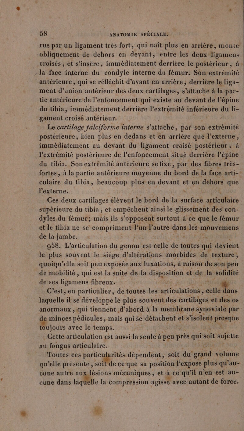 rus par un ligament très fort, qui naît plus en arrière, monte croisés , et s’insère, immédiatement derrière le postérieur, à Ja face interne du condyle interne du fémur. Son:extrémité antérieure , qui se réfléchit d'avant en arrière ; derrière le liga- ment d'union antérieur des deux cartilages, s’attache à la par- tie antérieure de l’enfoncement qui existe au devant de l’épine du tibia, immédiatement derrière l’extrémnité inférieure du li- gament croisé antérieur. | 4 postérieure, bien plus en dedans et en arrière que l’externe, immédiatement au devant du ligament croisé postérieur, à l'extrémité postérieure de l’enfoncement situé derrière lépine du tibia. Son extrémité antérieure se fixe, par des fibres très- fortes, à la partie antérieure moyenne du bord de la face arti- culaire du tibia, beaucoup plus: en devant et en dehors que l’externe. ù ë Ges deux cartilages élèvent le bord de la surface articulaire supérieure du tibia, et empêchent ainsi le glissement des con- dyles du fémur; mais ils s'opposent surtout à ce que le fémur et le tibia ne se compriment l’un l’autre dans. les mpuveniens de la jambe. : j É 958. L’articulation du genou est celle de toutes qui devient le plus souvent le siége d’altérations morbides de texture ; de mobilité, qui est la suite de la disposition et de Ja solidité de ses Enihens fibreux: A7 a A C’est, en particulier, de toutes les RE Pr me. 48 laquelle il se développe le plus souvent des © tirées et des os anormaux ,.qui tiennent d’abord à la membrane synovialé par toujours avec le temps. Cette articulation est aussi la seule à pu près sh soit Pate au fongus articulaire. Jr Toutes ces particularités dépendent, soit du sb volume qu’elle présente , soit de ce‘que sa pustns l’expose pie qu’au- cune autre aux lésions mécaniques, et à ce qu’il n’en est au- cune dans LidMelle la compression nié avec autant de force. |