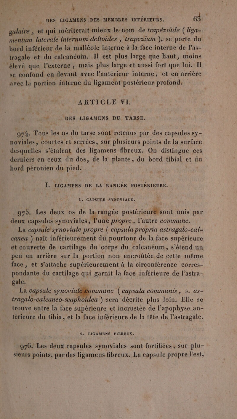 | Fe | M 58e l . DES RGAMERS DES MEMBRES INFERIEURS. 63 gulaire , et qui mériterait mieux le nom de trapézoïide ( liga- mentum laterale internum deltoides , trapezium ), se porte du bord inférieur de la malléole interne à la face interne de l’as- tragale et du calcanéum. Il est plus large que haut, moins ‘élevé que lexterne, mais plus large et aussi fort que lui. Il se confond en devant avec l’antérieur interne, et en arrière avec la portion interne du ligament postérieur profond. ARTICLE VI. : % DES LIGAMENS DU TARSE. 974. Tous les os du tarse sont retenus par des capsules sy- noviales, courtes et serrées, sur plusieurs points de la surface desquelles s’étalent des ligamens fibreux. On distingue ces derniers en ceux du dos, de la plante, du bord tibial et du , bord péronien du pied. ÏJ. LIGAMENS DE LA RANGÉE POSTÉRIEURE. 1. CAPSULE SYNOVIALE. 979. Les deux os de la, paies postérieur sont unis par deux capsules synoviales, l’une propre, l’autre commune. La capsule synoviale propre ( capsula propria astragalo-cal- canea ) naît inférieurement du pourtour de la face supérieure ét couverte de cartilage du corps du calcanéum, s’étend un peu en arrière sur la portion non encroûtée de cette même face , et s'attache supérieurement à la circonférence corres- pondante du cartilage qui garnit la face inférieure de l’astra- gale. La capsule synoviale Commune ( capsula communis, s. as- tragalo-calcaneo- scaphoidea ) sera décrite plus loin. Elle se trouve entre la face supérieure et incrustée de l’apophyse an- térieure du tibia, et la face inférieure de la tête de l’astragale. 2, LIGAMENS FIBREUX. 976. Les deux capsules synoviales sont fortifiées, sur plu- sieurs points, par des ligamens fibreux. La capsule propre l’est,