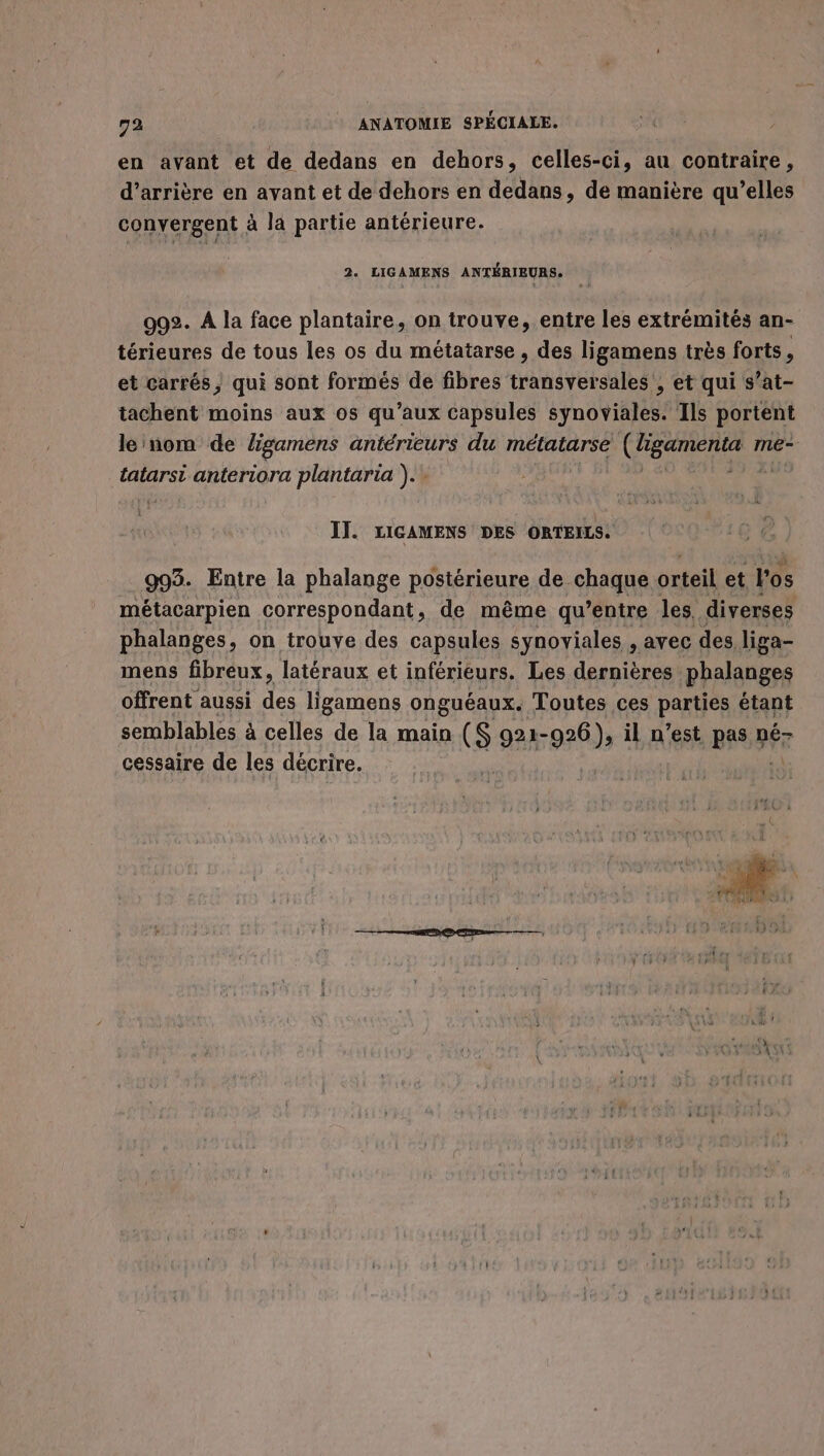 en avant et de dedans en dehors, celles-ci, au contraire, d’arrière en avant et de dehors en dedans, de manière qu’elles convergent à la partie antérieure. 2. LIGAMENS ANTÉRIEURS. 992. À la face plantaire, on trouve, entre les extrémités an- térieures de tous les os du métatarse , des ligamens très forts » et carrés, qui sont formés de fibres transversales , et qui s’at- tachent moins aux os qu'aux capsules synoviales. ls portent le'nom de ligamens antérieurs du métatarse GONE me- tatarsi anteriora plantaria ).. IT. LIGAMENS DES ORTEILS. 993. Entre la phalange postérieure de chaque orteil et a métacarpien correspondant, de même qu'entre les. diverses phalanges, on trouve des capsules synoviales , avec des liga- mens fibreux, latéraux et inférieurs. Les dernières phalanges offrent aussi des ligamens onguéaux. Toutes ces parties étant semblables à celles de la main (S 921-926), il n’est pas Ré cessaire de les décrire. Er FE aus. 7