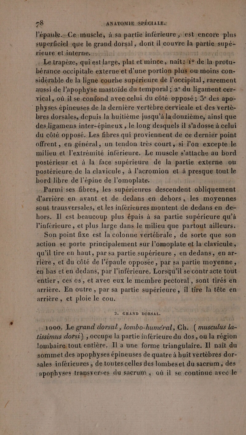 l’'épaule.s.Cermuscle, à:sa partie inférieure » est encore plus superficiel que le si dorsal, dont il couvre la Ra supé- rieure et interne; ::; sa GENE | &gt;. Le trapèze, qui'est large, plat et mince, nait ño de: la: mic Dead occipitale externe et d’une portion plus ou moins con- sidérable de la ligne courbe supérieure de l'occipital rarement aussi de l’apophyse mastoïde du temporal ; 2° du ligament.cer- vical, où.il se.confond avec celui du côté opposé ; 5° des apo- bres dorsales, depuis la huitième jusqu’à la douzième, ainsi que du côté opposé. Les fibres qui proviennent de ce derniér point offrent , en général, un tendon très court, si l’on excepterle milieu et l'extrémité inférieure. Le muscle s'attache au bord postérieur et à la face supérieure de la partie externe :ou postérieure de la clavicule, à l’acromion et à presque: tout le bord libre de l’épine de l’omoplate. Parmi ses fibres, les supérieures descendent obliquement d’arrière en avant et de dedans en dehors , les moyennes sont transversales, et les inférieures montent de dedans en de- hors. Il est beaucoup plus épais à sa partie supérieure qu’à linférieure , et plus large dans le milieu que partout ailleurs. Son point fixe est la colonne vertébrale, de sorte que son action se porte principalement sur l’omoplate et la clavicule,, qu’il tire en haut, par sa partie supérieure , en dedans, en ar- rière , et du côté de l’épaule opposée, par sa partie moyenne , arrière. En outre, par sa partie supérieure , il tire la tête en arrière, et ploie le cou. 2. GRAND DORSAL. 1000. Le grand dorsal , lombo-huméral, Gh. ( musculus la- tissimus dorsi) , occupe la partie inférieure du dos, où la région sommet des apophyses épineuses de quatre à huit vertébrés dor- sales infériéures , de toutes celles des lombeset du sacrum, des apophyses transverses du sacrum ; où il se continué avec:le