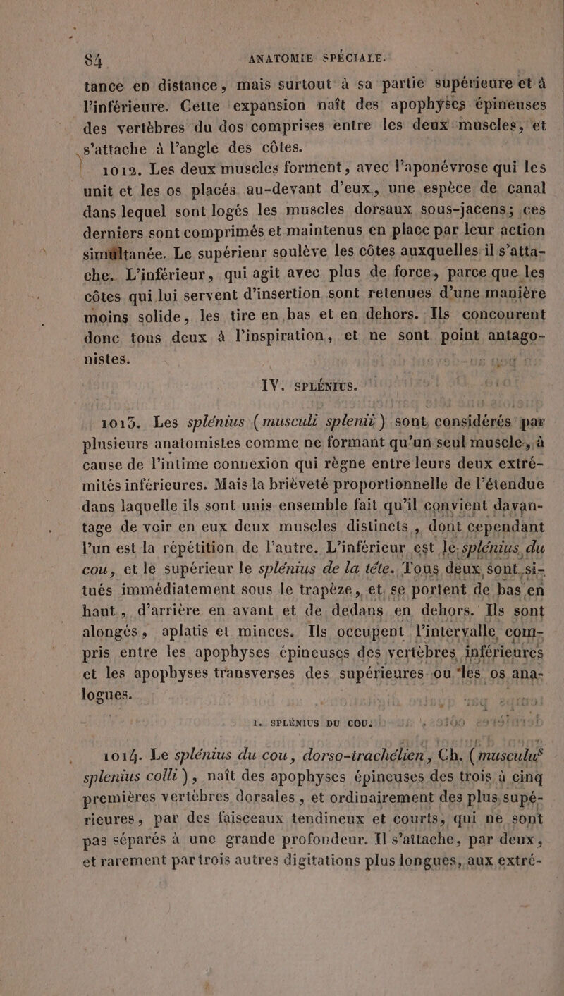 tance en distance, mais surtout à sa partie supérieure et à l'inférieure. Cette ‘expansion naît des apophyses épineuses des vertèbres du dos comprises entre les deux muscles, et s’attache à l’angle des côtes. | 1012. Les deux muscles forment, avec l’aponévrose qui les unit et les os placés au-devant d'eux, une espèce de canal dans lequel sont logés les muscles dorsaux sous-jacens; ces derniers sont comprimés el maintenus en place par leur action simältanée. Le supérieur soulève les côtes auxquelles il s’atta- che. L’inférieur, qui agit avec plus de force, parce que les côtes qui lui servent d'insertion sont relenues d’une manière moins solide, les tire en bas et en dehors. Ils concourent donc tous deux à l'inspiration, et ne sont point antago- _ nistes. PA s ubt LV. SPLÉNIUS. 1015. Les splénius (musculi splerix ) sont, considérés par plusieurs anatomistes comme ne formant qu’un seul muscle: à cause de l’intime connexion qui règne entre leurs deux extré- mités inférieures. Maïs la brièveté proportionnelle de l'étendue dans laquelle ils sont unis ensemble fait qu'il convient dayan- tage de voir en eux deux muscles distincts , dont cependant l’un est la répétition de l’autre. L’inférieur est de. -splérius du cou, et le supérieur le splénius de la téte..' Tous deux, sont. Si tués immédiatement sous le trapèze, et, se portent de bas. en haut, d’arrière en avant et de dedans en dehors. Ils sont alongés, aplatis et minces. Ils occupent l'intervalle com- pris entre les apophyses épineuses des vertèbres inférieures et les apophyses transverses des supérieures. ou es. 08 ana- logues. al l. SPLÉNIUS DU COU: l,29109 1014. Le splénius du cou, dorso-trachélien , Ch. (musculus splentus coli), naît des RE épineuses des trois à cinq premières vertèbres dorsales , et ordinairement des plus supé- rieures, par des faisceaux tendineux et courts, qui ne sont pas séparés à une grande profondeur. Il s’aitache, par deux, et rarement par {rois autres digitations plus longues, aux extré- à