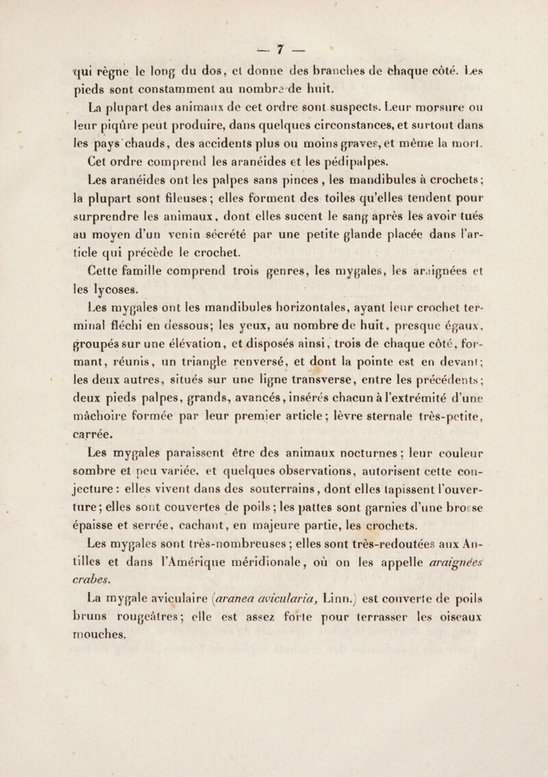 qui règne le long du dos, el donne des branches de chaque côté. Les pieds sont constamment au nombre de huit. La plupart des animaux de cet ordre sont suspects. Leur morsure ou leur piqûre peut produire, dans quelques circonstances, et surtout dans les pays’chauds, des accidents plus ou moins graves, et même la morl. Cet ordre comprend les aranéides et les pédipalpes. Les aranéides ont les palpes sans pinces , les mandibules à crochets; la plupart sont fileuses; elles forment des toiles qu’elles tendent pour surprendre les animaux, dont elles sucent le sang après les avoir tués au moyen d’un venin sécrété par une petite glande placée dans l’ar¬ ticle qui précède le crochet. Cette famille comprend trois genres, les mygales, les araignées et les lycoses. Les mygales ont les mandibules horizontales, ayant leur crochet ter¬ minal fléchi en dessous; les yeux, au nombre de huit, presque égaux, groupés sur une élévation, et disposés ainsi, trois de chaque côté, for¬ mant, réunis, un triangle renversé, et dont la pointe est en devant; les deux autres, situés sur une ligne transverse, entre les précédents; deux pieds palpes, grands, avancés, insérés chacun à l’extrémité d’une mâchoire formée par leur premier article; lèvre sternale très-petite, carrée. * Les mygales paraissent être des animaux nocturnes ; leur couleur sombre et peu variée, et quelques observations, autorisent cette con¬ jecture : elles vivent dans des souterrains, dont elles tapissent l’ouver¬ ture; elles sont couvertes de poils ; les pattes sont garnies d’une brosse épaisse et serrée, cachant, en majeure partie, les crochets. Les mygales sont très-nombreuses ; elles sont très-redoutées aux An¬ tilles et dans l’Amérique méridionale, où on les appelle araignées crabes. La mygale aviculaire [aranea aviculariay Linn.) est couverte de poils bruns rougeâtres; elle est assez forte pour terrasser les oiseaux mouches.