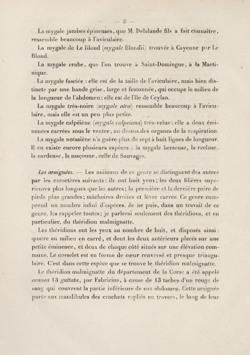 La mygale jambes épineuses, que M. Delalande fils a fait connaître, resseoible beaucoup à l’aviculaire. La mygale de Le Blond {infgale Blondil) trouvée à Cayenne par Le Blond. La mygale crabe, que l’on trouve à Saint-Domingue, à la Marti¬ nique. La mygale fasciée : elle est de la taille de l’aviculaire, mais bien dis¬ tincte par une bande grise, large et festonnée, qui occupe le milieu de la longueur de l’abdomen ; elle est de File de Ceylan. La mygale très-noire (mygale atra) ressemble beaucoup à l’avicu- laire, mais elle est un peu plus petite. La mygale calpéiène [niygale calpeiana) très-velue: elle a deux émi¬ nences carrées sous le ventre, au-dessus.des organes de la respiration. La mygale notasiène n’a guère plus de sept à huit lignes de longueur, il en existe encore plusieurs espèces : la mygale herseuse, la recluse, la cardeuse, la maçonne, celle de Sauvages. Les araignées. — Les animaux de ce genre se distinguent des autres par les caractères suivants: ils ont huit yeux; les deux hlières supé- rieiifes plus longues que les autres; la première et la dernière paire de pieds plus grandes; mâchoires droites et lèvre carrée. Ce genre com¬ prend un nombre infini d’espèces. Je ne puis, dans un travail de ce genre, les rappeler toutes ; je parlerai seulement des tbéridions, et en particulier, du tliéridion malmignatte. [.es tbéridions ont les yeux au nombre de huit, et disposés ainsi : quatre au milieu en carré, et dont les deux antérieurs placés sur une petite éminence, et deux de chaque côté situés sur une élévation com¬ mune. Le corselet est en forme de cœur renversé et presque triangu¬ laire. C’est dans cette espèce que se trouve le théridion malmignatte. Le tliéridion malmignatte du département de la Corse a été appelé aranea 13 gattata, par Fabrlciiis, à cause de 13 taches d’un rouge de sang’ qui couvrent la partie inrérieure de son abdomen. Cette araignée porte aux mandibules des crochets repliés en travers, le long de leur