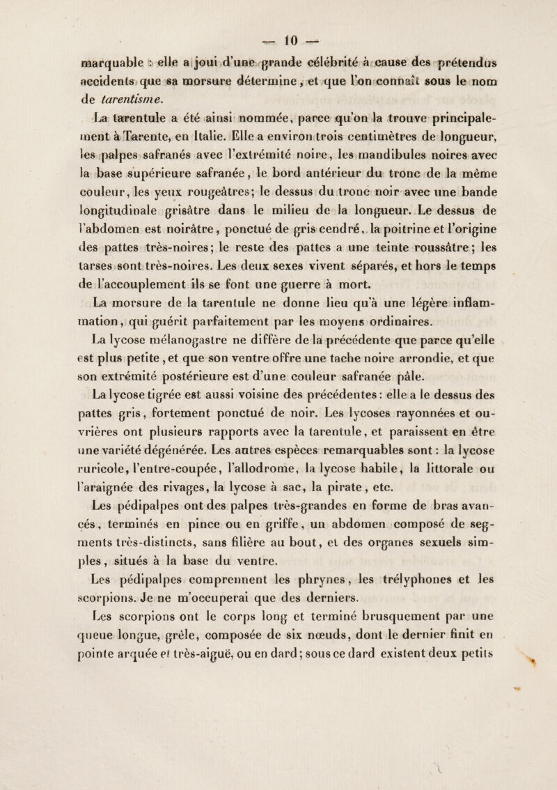 marquable : elle a joui^d’uae grande célébrité àrcause des prétendus accidents;que sa morsure détermine, et que l^n connaît sous le nom de tarentisnie. La tarentule a été (ainsi'nommée» parce qu’on la trouve principale¬ ment à lEarente, en Italie. Elle a environ trois centimètres de longueur, les palpes safranés avec l’extrémité noire, les mandibules noires avec la base supérieure safranée, le bord antérieur du tronc de la même eouleur, les yeux rougeâtres; le dessus du.tronc noir avec une bande longitudinale grisâtre dans le milieu de la longueur. Le dessus de l’abdomen est noirâtre, ponctué de gris cendré, la poitrine et l’origine * des pattes très-noires; le reste des pattes a une teinte roussâtre; les larses^sont très-noires. Les deux sexes vivent séparés, et hors le temps de l’accouplement ils se font une guerre à mort. La morsure de la tarentule ne donne lieu qu’à une légère, inflam¬ mation, qui guérit parfaitement par les moyens ordinaires. La lycose mélanogastre ne diffère de la précédente que parce qu’elle est plus petite , et que son ventre offre une tache noire arrondie, et que son extrémité postérieure est d’une couleur safranée pâle. La lycose tigrée est aussi voisine des précédentes: elle a le dessus des pattes gris, fortement ponctué de noir. Les lycoses rayonnées et ou¬ vrières ont plusieurs rapports avec la tarentule, et paraissent en être une variété dégénérée. Les antres espèces remarquables sont : la lycose ruricole, l’entre-coupée, l’allodrome, la lycose habile, la littorale ou l’araignée des rivages, la lycose à sac, la pirate, etc. Les pédipalpes ont des palpes très-grandes en forme de bras avan¬ cés , terminés en pince ou en griffe, un abdomen composé de .seg¬ ments très-distincts, sans filière au bout, et des organes sexuels sim¬ ples , situés à la base du ventre. Les pédipalpes comprennent les phrynes, les trélyphones et les scorpions. Je. ne m’occuperai que des derniers. Les scorpions ont le corps long et terminé brusquement par une queue longue, grêle, composée de six nœuds, dont Je dernier finit en pointe arquée et très-aiguë, ou en dard ; sous ce dard existent deux petits