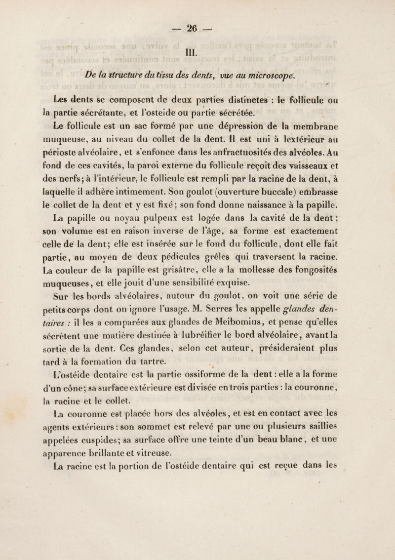 III. De la structure du tissu des dents^ vue au microscope. Les dents se composent de deux parties distinctes : le follicule ou « la partie sécrétante, et l’osteide ou partie sécrétée. Le follicule est un sac formé par une dépression de la membrane muqueuse, au niveau du collet de la dent, il est uni à lextérieur au périoste alvéolaire, et s’enfonce dans les anfractuosités des alvéoles. Au fond de ces cavités, la paroi externe du follicule reçoit des vaisseaux et des nerfs; à l’intérieur, le follicule est rempli par la racine de la dent, à laquelle il adhère intimement. Son goulot (ouverture buccale) embrasse le collet de la dent et y est fixé; son fond donne naissance à la papille. La papille ou noyau pulpeux est logée dans la cavité de la dent ; son volume est en raison inverse de l’âge, sa forme est exactement celle de la dent; elle est insérée sur le fond du follicule, dont elle fait partie, au moyen de deux pédicules grêles qui traversent la racine. La couleur de la papille est grisâtre, elle a la mollesse des fongosités muqueuses, et elle jouit d’une sensibilité exquise. Sur les bords alvéolaires, autour du goulot, on voit une série de petits corps dont on ignore l’usage. M. Serres les appelle glandes den¬ taires : il les a comparées aux glandes de Meibomius, et pense qu’elles sécrètent une matière destinée à lubréifier le bord alvéolaire, avant la sortie delà dent. Ces glandes, selon cet auteur, présideraient plus tard à la formation du tartre. L’ostéide dentaire est la partie ossiforme de la dent : elle a la forme d’un cône; sa surface extérieure est divisée en trois parties : la couronne , la racine et le collet. La couronne est placée hors des alvéoles, et est en contact avec les agents extérieurs : son sommet est relevé par une ou plusieurs saillies appelées cuspides; sa surface offre une teinte d’un beau blanc, et une apparence brillante et vitreuse. La racine est la portion de l’ostéide dentaire qui est reçue dans les