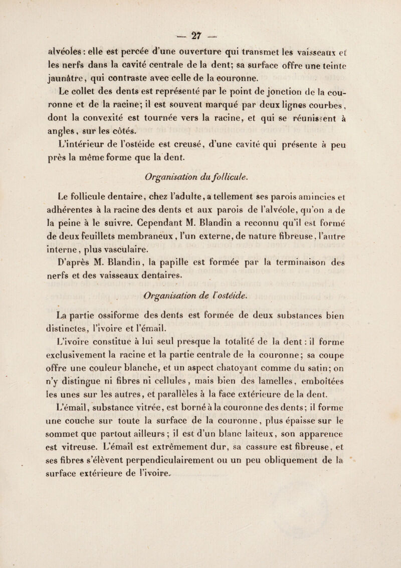 alvéoles : elle est percée d’une ouverture qui transmet les vaisseaux eC les nerfs dans la cavité centrale de la dent; sa surface offre une teinte jaunâtre, qui contraste avec celle de la couronne. Le collet des dents est représenté par le point de jonction de la cou¬ ronne et de la racine; il est souvent marqué par deux lignes courbes, dont la convexité est tournée vers la racine, et qui se réunissent à angles, sur les côtés. L’intérieur de l’ostéide est creusé, d’une cavité qui présente à peu près la même forme que la dent. Organisation du follicule. Le follicule dentaire, chez l’adulte, a tellement ses parois amincies et adhérentes à la racine des dents et aux parois de l’alvéole, qu’on a de la peine à le suivre. Cependant M. Blandin a reconnu qu’il est formé de deux feuillets membraneux, l’un externe, de nature fibreuse, l’autre interne, plus vasculaire. D’après M. Blandin, la papille est formée par la terminaison des nerfs et des vaisseaux dentaires. Organisation de lostéide. La partie ossiforme des dents est formée de deux substances bien distinctes, l’ivoire et l’émail. L’ivoire constitue à lui seul presque la totalité de la dent : il forme exclusivement la racine et la partie centrale de la couronne; sa coupe offre une couleur blanche, et un aspect chatoyant comme du satin; on n’y distingue ni fibres ni cellules, mais bien des lamelles, emboîtées les unes sur les autres, et parallèles à la face extérieure de la dent. L’émail, substance vitrée, est borné à la couronne des dents; il forme une couche sur toute la surface de la couronne, plus épaisse sur le sommet que partout ailleurs; il est d’un blanc laiteux, son apparence est vitreuse. L’émail est extrêmement dur, sa cassure est fibreuse, et ses fibres s’élèvent perpendiculairement ou un peu obliquement de la surface extérieure de l’ivoire.^