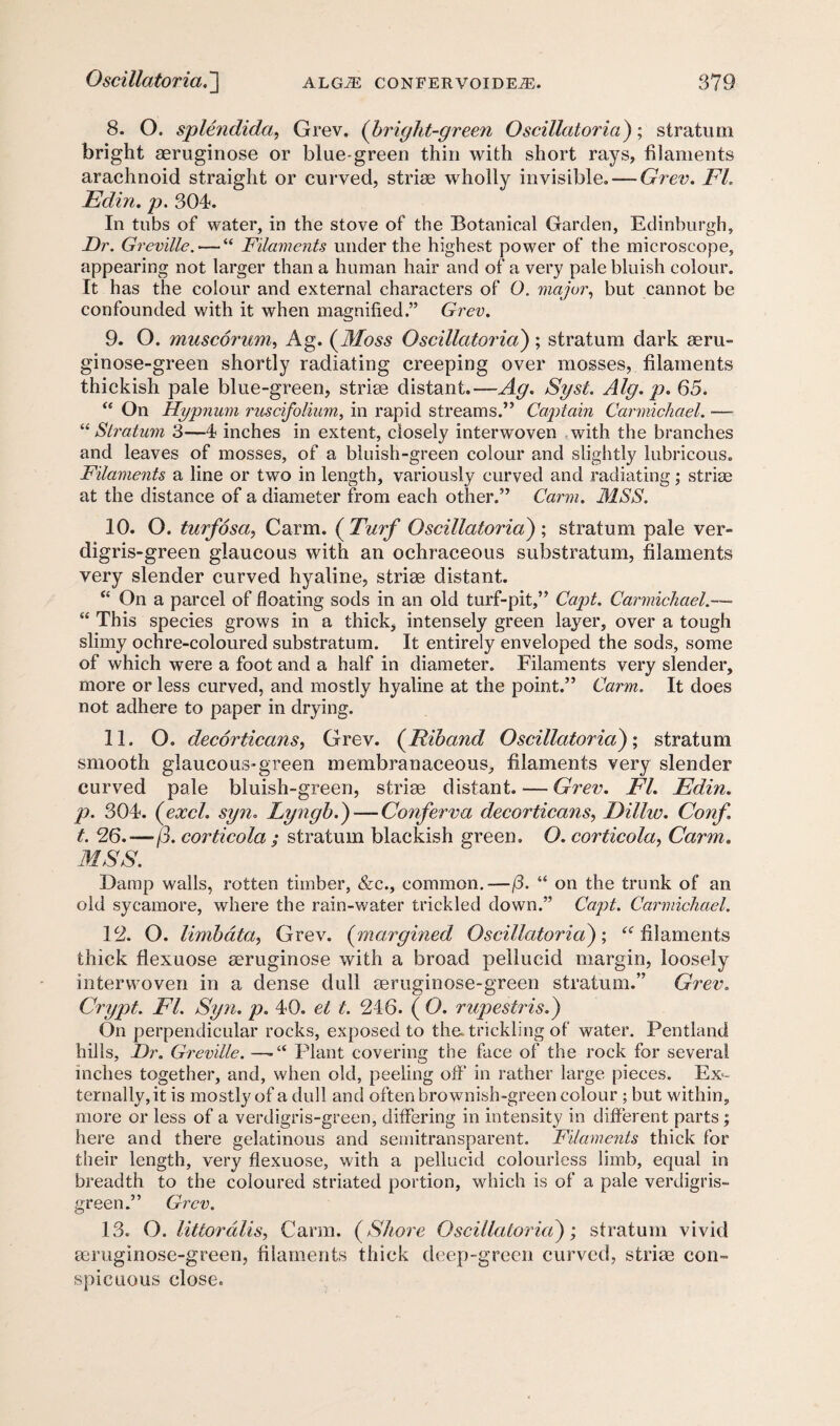 8. O. splendida, Grev. (bright-green Oscillatoria); stratum bright aeruginose or blue-green thin with short rays, filaments arachnoid straight or curved, striae wholly invisible. —Grev. FI. Edin. p. 304. In tubs of water, in the stove of the Botanical Garden, Edinburgh, Dr. Greville. — “ Filaments under the highest power of the microscope, appearing not larger than a human hair and of a very pale bluish colour. It has the colour and external characters of O. major, but cannot be confounded with it when magnified.” Grev. 9. O. muscorum, Ag. (Moss Oscillatoria); stratum dark aeru- ginose-green shortly radiating creeping over mosses, filaments thickish pale blue-green, striae distant.—Ag. Syst. Alg. p. 65. “ On Hypnum ruscifolium, in rapid streams.” Captain Carmichael. —- “ Stratum 3—4 inches in extent, closely interwoven with the branches and leaves of mosses, of a bluish-green colour and slightly lubricous. Filaments a line or two in length, variously curved and radiating; striae at the distance of a diameter from each other.” Carm. MSS. 10. O. turfosa, Carm. ( Turf Oscillatoria) ; stratum pale ver- digris-green glaucous with an ochraceous substratum, filaments very slender curved hyaline, striae distant. “ On a parcel of floating sods in an old turf-pit,” Capt. Carmichael.— “ This species grows in a thick, intensely green layer, over a tough slimy ochre-coloured substratum. It entirely enveloped the sods, some of which were a foot and a half in diameter. Filaments very slender, more or less curved, and mostly hyaline at the point.” Carm. It does not adhere to paper in drying. 11. O. decorticans, Grev. (Riband Oscillatoria); stratum smooth glaucous-green membranaceous, filaments very slender curved pale bluish-green, striae distant. — Grev. FI. Edin. p. 304. (excl. syn. Lyngb.) — Conferva decorticans, Dillw. Conf t. 26.—p. corticola ; stratum blackish green. O. corticola, Carm. MSS. Damp walls, rotten timber, &c., common.—(3. “ on the trunk of an old sycamore, where the rain-water trickled down.” Capt. Carmichael. 12. O. limbdta, Grev. (margined Oscillatoria); “filaments thick flexuose aeruginose with a broad pellucid margin, loosely interwoven in a dense dull aeruginose-green stratum.” Grev. Crypt. FI. Syn. p. 40. el t. 246. ( O. rupestris.) On perpendicular rocks, exposed to the. trickling of water. Pentland hills. Dr. Greville. —Plant covering the face of the rock for several inches together, and, when old, peeling off in rather large pieces. Ex¬ ternally, it is mostly of a dull and often brownish-green colour ; but within, more or less of a verdigris-green, differing in intensity in different parts ; here and there gelatinous and semitransparent. Filaments thick for their length, very flexuose, with a pellucid colourless limb, equal in breadth to the coloured striated portion, which is of a pale verdigris- green.” Grev. 13. Q. littoralis, Carm. (Shore Oscillatoria); stratum vivid aeruginose-green, filaments thick deep-green curved, striae con¬ spicuous close.