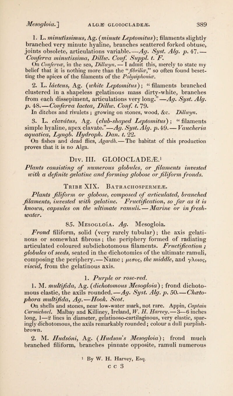 1. L. minutissimus, Ag. (minute Leptomitus); filaments slightly- branched very minute hyaline, branches scattered forked obtuse, joints obsolete, articulations variable.—-Ag. Syst. Alg. p. 47.—- Conferva mmutissima, Dillw. Corf. Suppl. t. F. On Confervce, in the sea, Dillwyn. — I admit this, merely to state my belief that it is nothing more than the “fibrillce,” so often found beset¬ ting the apices of the filaments of the Polysiphoniee. 2. L. lacteus, Ag. (white Leptomitus); “ filaments branched clustered in a shapeless gelatinous mass dirty-white, branches from each dissepiment, articulations very long.”— Ag. Syst. Alg. p. 48. — Conferva lactea, Dillw. Conf t. 79. In ditches and rivulets ; growing on stones, wood, &c. Dillwyn. 3. L. clavatus, Ag. (club-shaped Leptomitus) ; “ filaments simple hyaline, apex clavate.”—Ag. Syst. Alg. p. 49. — Voucheria aquatica, Lyngb. Hydroph. Dan. t. 22. On fishes and dead flies, Agardh,—-The habitat of this production proves that it is no Alga. Div. III. GLOIOCLADEiE.1 Plants consisting of numerous globules, or filaments invested with a definite gelatine and forming globose or filiform, fronds. Tribe XIX. BatrachospermevE. Plants filiform or globose, composed of articulated, branched filaments, invested with gelatine. Fructification, so far as it is known, capsules on the ultimate ramuli. — Marine or in fresh¬ water. 85. Mesogloia. Ag. Mesogloia. Frond filiform, solid (very rarely tubular); the axis gelati¬ nous or somewhat fibrous; the periphery formed of radiating articulated coloured subdichotomous filaments. Fructification ; globules of seeds, seated in the dichotomies of the ultimate ramuli, composing the periphery. — Name ; peaog, the middle, and yXoiog, viscid, from the gelatinous axis. 1. Purple or rose-red. 1. M. multfida, Ag. (dichotomous Mesogloia); frond dichoto¬ mous elastic, the axils rounded.—Ag. Syst. Alg. p. 50.-Chceto- phora multfida, Ag.—Hook. Scot. On shells and stones, near low-water mark, not rare. Appin, Captain Carmichael. Malbay and Killiney, Ireland, W. H. Harvey. — 3—6 inches long, 1—2 lines in diameter, gelatinoso-cartilaginous, very elastic, spar¬ ingly dichotomous, the axils remarkably rounded; colour a dull purplish- brown. 2. M. Hudsoni, Ag. (Hudsons Mesogloia); frond much branched filiform, branches pinnate opposite, ramuli numerous i By W. H. Harvey, Esq.