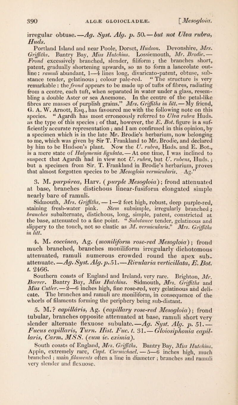 irregular obtuse.—Ay. Syst. Aly. p. 50. — but not Ulva rubra, Huds. Portland Island and near Poole, Dorset, Hudson. Devonshire, Mrs. Griffiths. Bantry Bay, Miss Hutchins. Lossiemouth, Mr. Brodie. — Frond excessively branched, slender, filiform ; the branches short, patent, gradually shortening upwards, so as to form a lanceolate out¬ line : ramuli abundant, 1—4 lines long, divaricato-patent, obtuse, sub¬ stance tender, gelatinous ; colour pale-red. “ The structure is very remarkable : the frond appears to be made up of tufts of fibres, radiating from a centre, each tuft, when separated in water under a glass, resem¬ bling a double Aster or sea Anemone. In the centre of the petal-like fibres are masses of purplish grains.” Mrs. Griffiths in litt. — My friend, G. A. W. Arnott, Esq., has favoured me with the following note on this species. “ Agardh has most erroneously referred to Ulva rubra Huds. as the type of this species ; of that, however, the E. Bot. figure is a suf¬ ficiently accurate representation ; and I am confirmed in this opinion, by a specimen which is in the late Mr. Brodie’s herbarium, now belonging to me, which was given by Sir T. Frankland to Mr. Brodie, and declared by him to be Hudson’s plant. Now the U. rubra, Huds. and E. Bot., is a mere state of Halymenia ligulata. — At one time, I was inclined to suspect that Agardh had in view not U. rubra, but U. rubens, Huds. ; but a specimen from Sir. T. Frankland in Brodie’s herbarium, proves that almost forgotten species to be Mesogloia vermicularis. Ag.” 3. M. purpurea, Harv. ( purple Mesoyloia) \ frond attenuated at base, branches distichous linear-fusiform elongated simple nearly bare of ramuli. Sidmouth, Mrs. Griffiths. —• 1—2 feet high, robust, deep purple-red, staining fresh-water pink. Stem subsimple, irregularly branched; branches subalternate, distichous, long, simple, patent, constricted at the base, attenuated to a fine point. “ Substance tender, gelatinous and slippery to the touch, not so elastic as M. vermicularis” Mrs. Griffiths in litt. 4. M. coccmea, Ag. (moniliform rose-red Mesoyloia); frond much branched, branches moniliform irregularly dichotomous attenuated, ramuli numerous crowded round the apex sub¬ attenuate. —Ay. Syst. Aly. p.51. —Rivularia verticillata, E. Bot. t. 2466. Southern coasts of England and Ireland, very rare. Brighton, Mr. Borrer. Bantry Bay, Miss Hutchins. Sidmouth, Mrs. Griffiths and Miss Cutler. — 2—6 inches high, fine rose-red, very gelatinous and deli¬ cate. The branches and ramuli are moniliform, in consequence of the whorls of filaments forming the periphery being sub-distant. 5. M. ? capillaris, Ag. (capillary rose-red Mesoyloia'); frond tubular, branches opposite attenuated at base, ramuli short very slender alternate fiexuose subulate.—Ay. Syst. Aly. p. 51.— Fucus capillaris, Turn. Hist. Fuc. t. 31. — Gloiosiphonia capil¬ laris, Carm. MSS. (cum ic. eximia). South coasts of England, Mrs. Griffiths. Bantry Bay, Miss Hutchins. Appin, extremely rare, Capt. Carmichael.—5—6 inches high, much branched ; mam filaments often a line in diameter ; branches and ramuli very slender and fiexuose.