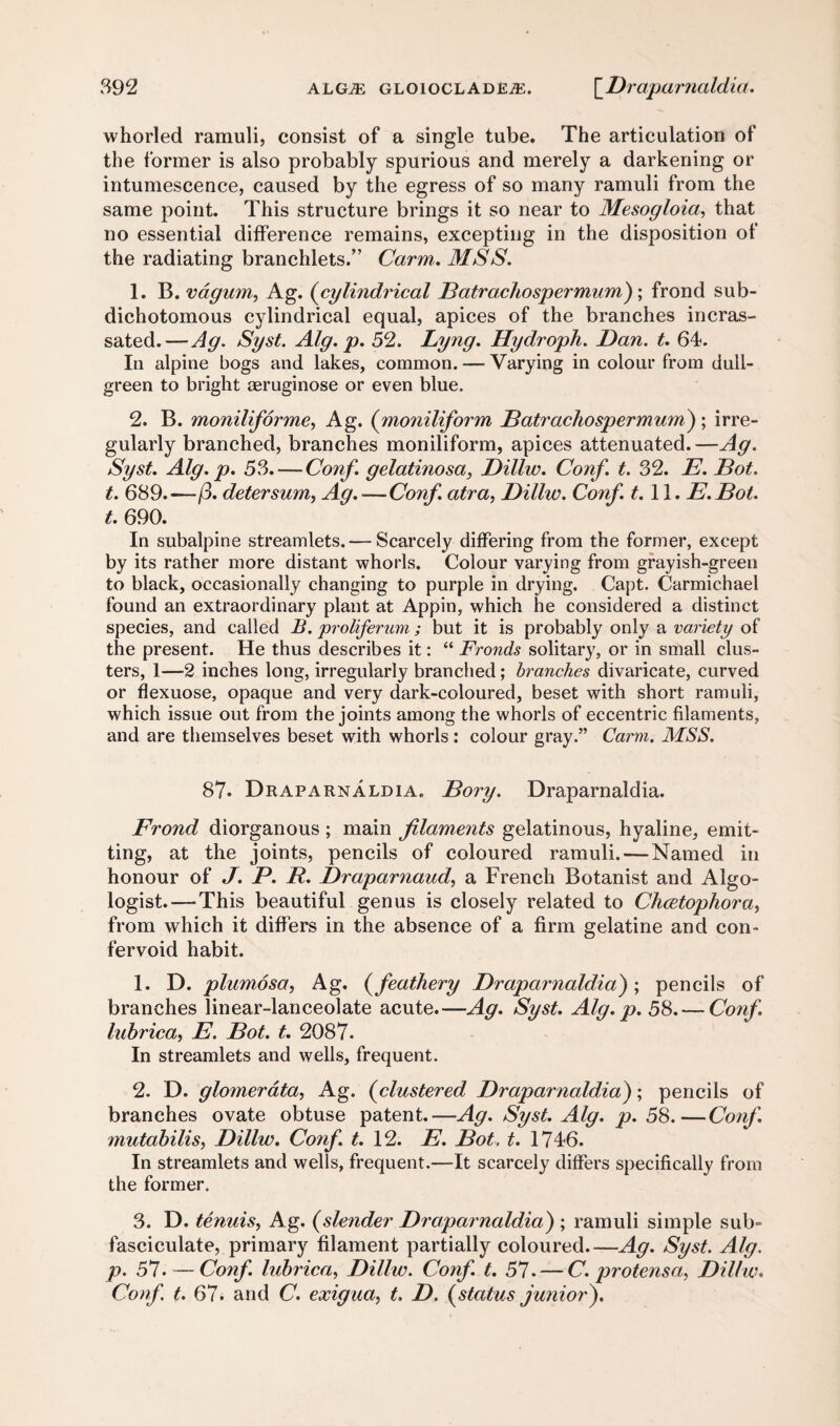 whorled ramuli, consist of a single tube. The articulation of the former is also probably spurious and merely a darkening or intumescence, caused by the egress of so many ramuli from the same point. This structure brings it so near to Mesogloia, that no essential difference remains, excepting in the disposition of the radiating branchlets.” Carm,. MSS. 1. B. vagum, Ag. (cylindrical Datrachospermum); frond sub- dichotomous cylindrical equal, apices of the branches incras- sated.—Ag. Syst. Alg. p. 52. Lyng. Hydroph. Dan. t. 64. In alpine bogs and lakes, common. — Varying in colour from dull- green to bright oeruginose or even blue. 2. B. moniliforme, Ag. (moniliform Datrachospermum) ; irre¬ gularly branched, branches moniliform, apices attenuated. —Ag. Syst. Alg. p. 53. — Conf. gelatinosa, Dillw. Conf. t. 32. E. Dot. t. 689.—/3. detersum, Ag.—Conf. atra, Dillw. Conf. 1.11. E.Bot. t. 690. In subalpine streamlets. — Scarcely differing from the former, except by its rather more distant whorls. Colour varying from grayish-green to black, occasionally changing to purple in drying. Capt. Carmichael found an extraordinary plant at Appin, which he considered a distinct species, and called B. proliferum; but it is probably only a variety of the present. He thus describes it: “ Fronds solitary, or in small clus¬ ters, 1—2 inches long, irregularly branched; branches divaricate, curved or flexuose, opaque and very dark-coloured, beset with short ramuli, which issue out from the joints among the whorls of eccentric filaments, and are themselves beset with whorls : colour gray.” Carm. MSS. 87. Draparnaldia. Dory. Draparnaldia. Frond diorganous; main filaments gelatinous, hyaline, emit¬ ting, at the joints, pencils of coloured ramuli. — Named in honour of J. P. R. Draparnaud, a French Botanist and Algo- logist. — This beautiful genus is closely related to Chcetophora, from which it differs in the absence of a firm gelatine and con- fervoid habit. 1. D. plumosa, Ag. (feathery Draparnaldia); pencils of branches linear-lanceolate acute.—Ag. Syst. Alg. p. 58. — Conf lubrica, E. Dot. t. 2087. In streamlets and wells, frequent. 2. D. glomerata, Ag. (clustered Draparnaldia); pencils of branches ovate obtuse patent.—Ag. Syst. Alg. p. 58.—Conf ?nutabilis, Dillw. Conf t. 12. E. Dot, t. 1746. In streamlets and wells, frequent.—It scarcely differs specifically from the former. 3. D. tenuis, Ag. (slender Draparnaldia) ; ramuli simple sul> fasciculate, primary filament partially coloured_Ag. Syst. Alg. p. 57. — Conf. lubrica, Dillw. Conf. t. 57. — C. protensa. Dillw. Conf t. 67. and C. exigua, t. D. (status junior).