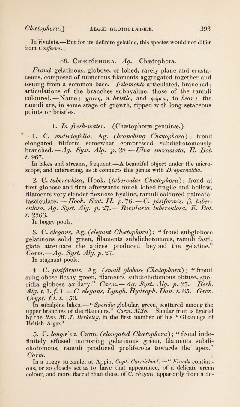 In rivulets.—But for its definite gelatine, this species would not differ from Conferva. 88. Chcetophora. Ag. Chaetophora. Frond gelatinous, globose, or lobed, rarely plane and crusta- ceous, composed of numerous filaments aggregated together and issuing from a common base. Filaments articulated, branched ; articulations of the branches subhyaline, those of the ramuli coloured. — Name; xatrrh a bristle, and (fyopeo), to bear; the ramuli are, in some stage of growth, tipped with long setaceous points or bristles. 1. In fresh-water. (Chaetophorae genuinae.) 1. C. endivicefolia, Ag. (branching Chcetophora); frond elongated filiform somewhat compressed subdichotomously branched.—Ag. Sgst. Alg. p. 28 — Ulva incrassata, E. Bot. t. 967. In lakes and streams, frequent.—A beautiful object under the micro¬ scope, and interesting, as it connects this genus with Braparnaldia. 2. C. tuberculosa, Hook. (tubercular Chcetophora); frond at first globose and firm afterwards much lobed fragile and hollow, filaments very slender flexuose hyaline, ramuli coloured palmato- fasciculate.—Hook. Scot. II. p.76.—C. pisiformis, j3. tuber- culosa, Ag. Sgst. Alg. p. 27. — Rimdaria tuberculosa, E. Bot. t. 2366. In boggy pools. 3. C. elegans, Ag. (elegant Chcetophora); 44 frond subglobose gelatinous solid green, filaments subdichotomous, ramuli fasti- giate attenuate the apices produced beyond the gelatine.” Carm.—Ag. Sgst. Alg. p.fS. In stagnant pools. 4. C. pisiformis, Ag. (small globose Chcetophora) ; 44 frond subglobose fleshy green, filaments subdichotomous obtuse, spo- ridia globose axillary.” Carm. — Ag. Sgst. Alg. p. 27. Berk. Alg. t. 1. f. 1. — C. elegans, Lgngb. Hgdroph. Ban. i. 65. Grev. Crgpt. FI. t. 150. In subalpine lakes. — “ Sporidia globular, green, scattered among the upper branches of the filaments.” Carm. MSS. Similar fruit is figured by the Rev. M. J. Berkeley, in the first number of his “ Gleanings of British Algae.” 5. C. longce'va, Carm. (elongated Chcetophora); 44 frond inde¬ finitely effused incrusting gelatinous green, filaments subdi¬ chotomous, ramuli produced proliferous towards the apex.” Carm. In a boggy streamlet at Appin, Capt. Carmichael. — “ Fronds continu¬ ous, or so closely set as to have that appearance, of a delicate green colour, and more flaccid than those of C. elegans, apparently from a de-