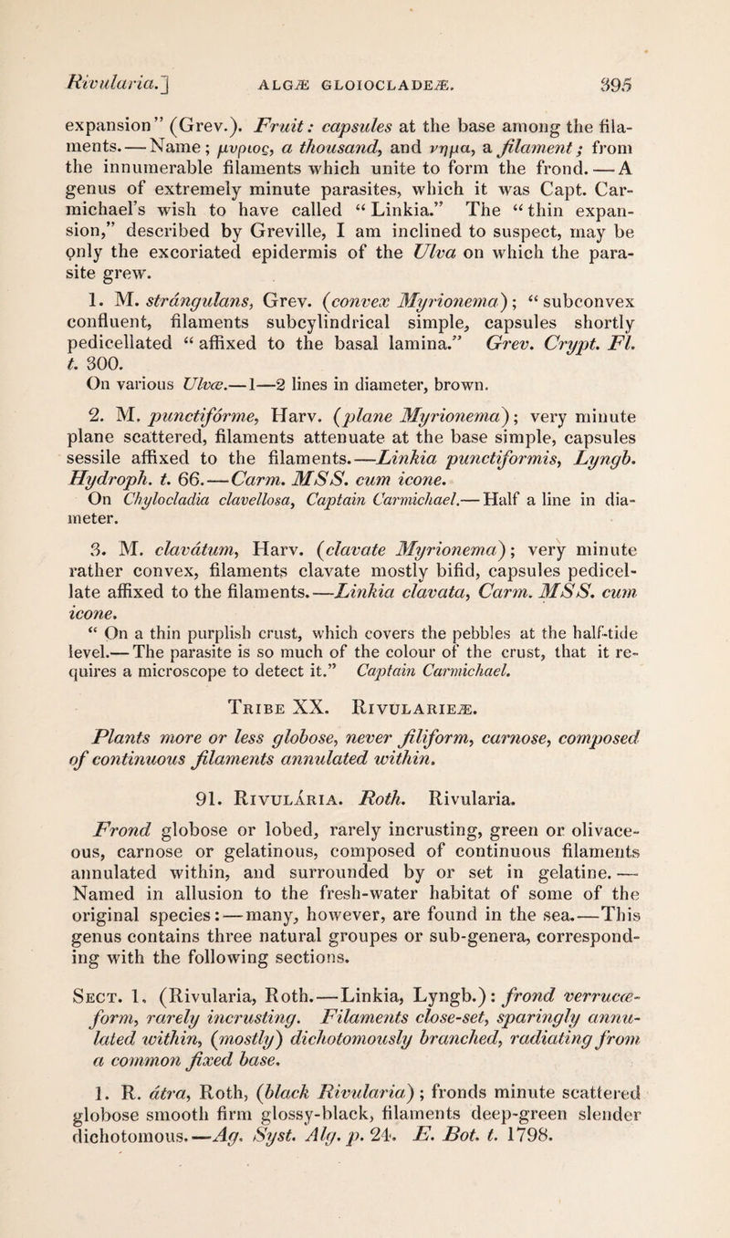 expansion” (Grev.). Fruit: capsules at the base among the fila¬ ments.— Name; pvpiog, a thousand, and vjjpa, a filament; from the innumerable filaments which unite to form the frond.—-A genus of extremely minute parasites, which it was Capt. Car¬ michael’s wish to have called “ Linkia.” The “ thin expan¬ sion,” described by Greville, I am inclined to suspect, may be only the excoriated epidermis of the Ulva on which the para¬ site grew. 1. M. strangulans, Grev. (convex Myrionema) ; “ subconvex confluent, filaments subcylindrical simple, capsules shortly pediceliated “ affixed to the basal lamina.” Grev. Crypt. FI. t. 300. On various Ulvce.— 1—2 lines in diameter, brown. 2. M. punctiforme, Harv. (plane Myrionema); very minute plane scattered, filaments attenuate at the base simple, capsules sessile affixed to the filaments.—-Linkia punctiformis, Lyngh. Hydroph. t. 66. — Carm. MSS. cum icone. On Chylocladia clavellosa) Captain Carmichael.— Half a line in dia¬ meter. 3. M. clavdtum, Harv. (clavate Myrionema); very minute rather convex, filaments clavate mostly bifid, capsules pedicel¬ late affixed to the filaments.—Linkia clavata, Carm. MSS. cum icone. “ On a thin purplish crust, which covers the pebbles at the half-tide level.— The parasite is so much of the colour of the crust, that it re¬ quires a microscope to detect it.” Captain Carmichael. Tribe XX, Rivularie^e. Plants more or less globose, never filiform, carnose, composed of continuous filaments annulated within. 91. Rivularia. Roth. Rivularia. Frond globose or lobed, rarely incrusting, green or olivace¬ ous, carnose or gelatinous, composed of continuous filaments annulated within, and surrounded by or set in gelatine. — Named in allusion to the fresh-water habitat of some of the original species:—-many, however, are found in the sea.—This genus contains three natural groupes or sub-genera, correspond¬ ing with the following sections. Sect. 1, (Rivularia, Roth.—Linkia, Lyngb.): frond verrucce- formy rarely mcrusting. Filaments close-set, sparingly annu¬ lated within, (mostly) dichotomously branched, radiating from a common fixed base. 1. R. atra, Roth, (black Rivularia,); fronds minute scattered globose smooth firm glossy-black, filaments deep-green slender dichotomous.—^, Syst. Alg.p.2i>. E. Rot. t. 1798.