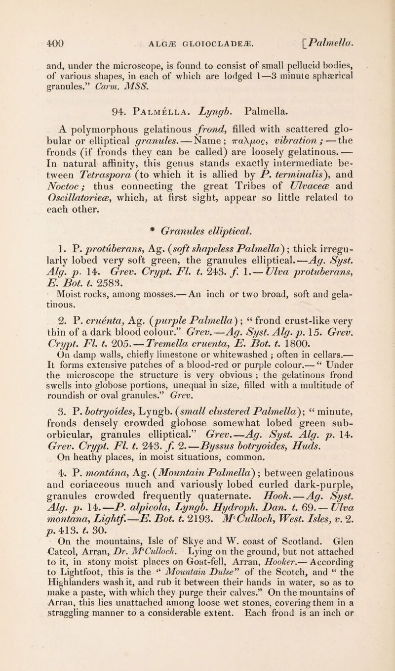 and, under the microscope, is found to consist of small pellucid bodies, of various shapes, in each of which are lodged 1—3 minute sphaerical granules.” Carm. MSS. 94. Palmella. Lyngb. Palmella. A polymorphous gelatinous frond, filled with scattered glo¬ bular or elliptical granules.—-Name; 7raXgog, vibration;—the fronds (if fronds they can be called) are loosely gelatinous. —- In natural affinity, this genus stands exactly intermediate be¬ tween Tetraspora (to which it is allied by P. terminalis), and Noctoc; thus connecting the great Tribes of Ulvaceee and Oscillator iece, which, at first sight, appear so little related to each other. * Granules elliptical. 1. P. protuberans, Ag, (soft shapeless Palmella); thick irregu¬ larly lobed very soft green, the granules elliptical.—Ag. Syst. Ala. p. 14. Grev. Crypt. FI. t. 243. f 1.— Ulva protuberans, E. Bot. t. 2583. Moist rocks, among mosses.—-An inch or two broad, soft and gela¬ tinous. 2. P. cruenta, Ag. (purple Palmella); “ frond crust-like very thin of a dark blood colour.” Grev.—Ag. Syst. Alg. p. 15. Grev. Crypt. FI. t. 205. — Tremella cruenta, E. Bot. t. 1800. On damp walls, chiefly limestone or whitewashed ; often in cellars.—- It forms extensive patches of a blood-red or purple colour.— “ Under the microscope the structure is very obvious ; the gelatinous frond swells into globose portions, unequal in size, filled with a multitude of roundish or oval granules.” Grev. 3. P. botryoides, Lyngb. (small clustered Palmella); “ minute, fronds densely crowded globose somewhat lobed green sub- orbicular, granules elliptical.” Grev.—Ag. Syst. Alg. p. 14. Grev. Crypt. FI. t. 243. f 2.—Byssus botryoides, Huds. On heathy places, in moist situations, common. 4. P. montana, Ag. (Mountain Palmella) ; between gelatinous and coriaceous much and variously lobed curled dark-purple, granules crowded frequently quaternate. Hook.—Ag. Syst. Alg. p. 14.—P. alpicola, Lyngb. Hydroph. Dan. t. 69.— Ulva montana, Liqhtf. —E. Bot. t. 2193. Ml Culloch, West. Isles, v. 2. p. 413. t. 30. On the mountains, Isle of Skye and W. coast of Scotland. Glen Catcol, Arran, Dr. M‘Culloch. Lying on the ground, but not attached to it, in stony moist places on Goat-fell, Arran, Hooker.— According to Lightfoot, this is the “ Mountain Dulse” of the Scotch, and “ the Highlanders wash it, and rub it between their hands in water, so as to make a paste, with which they purge their calves.” On the mountains of Arran, this lies unattached among loose wet stones, covering them in a straggling manner to a considerable extent. Each frond is an inch or
