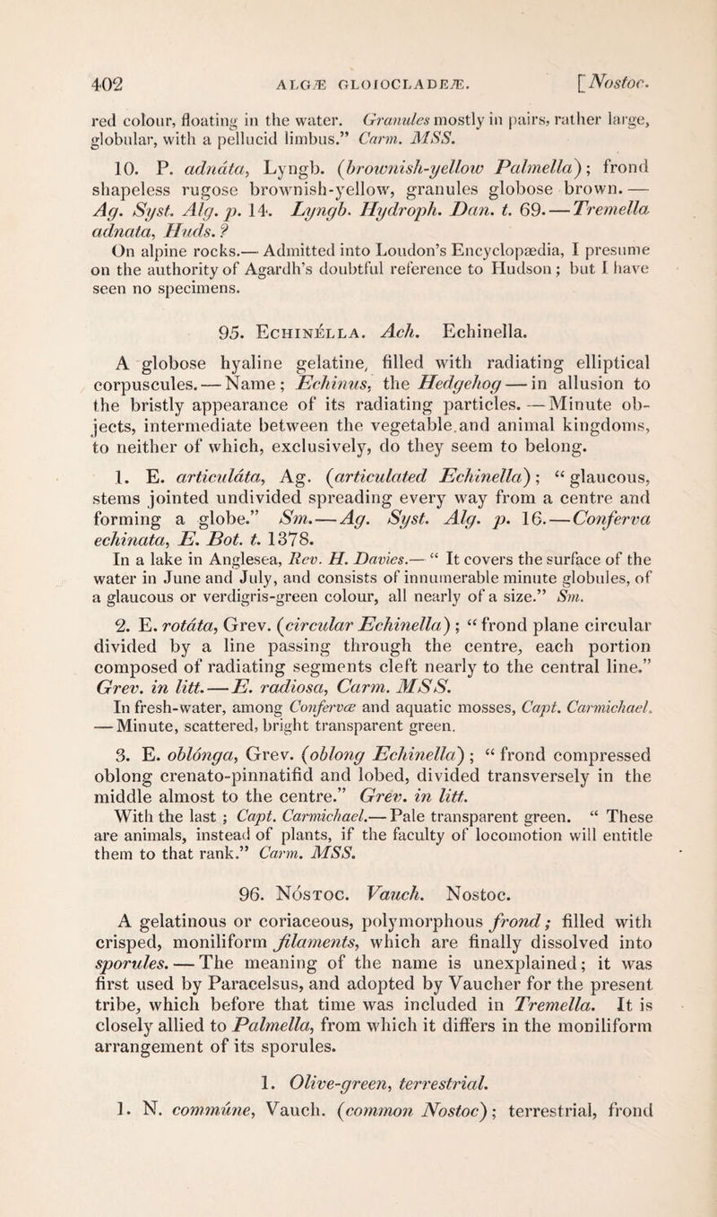 red colour, floating in the water. Granules mostly in pairs, rather large, globular, with a pellucid limbus.” Carm. MSS. 10. P. adnata, Lyngb. (brownish-yellow Palmella); frond shapeless rugose brownish-yellow, granules globose brown.— Ag. Syst. Alg. p. 14. Lyngb. Hydroph. Dan. £. 69. — Tremella adnata, Huds. ? On alpine rocks.—• Admitted into Loudon’s Encyclopaedia, I presume on the authority of Agardh’s doubtful reference to Hudson; but I have seen no specimens. 95. Echinella. Ach. Echinella. A globose hyaline gelatine, filled with radiating elliptical corpuscules. — Name; Echinus, the Hedgehog — in allusion to the bristly appearance of its radiating particles. —Minute ob¬ jects, intermediate between the vegetable, and animal kingdoms, to neither of which, exclusively, do they seem to belong. 1. E. articulata, Ag. (articulated Echinella); “ glaucous, stems jointed undivided spreading every way from a centre and forming a globe.” Sm.— Ag. Syst. Alg. p. 16. — Conferva echinata, E. Dot. t. 1378. In a lake in Anglesea, Rev. H. Davies.— “ It covers the surface of the water in June and July, and consists of innumerable minute globules, of a glaucous or verdigris-green colour, all nearly of a size.” Sm. 2. E. rotata, Grev. (circular Echinella) ; “ frond plane circular divided by a line passing through the centre, each portion composed of radiating segments cleft nearly to the central line.” Grev. in Hit. — E. radiosa, Carm. MSS. In fresh-water, among Confervce and aquatic mosses, Capt. Carmichael. —-Minute, scattered, bright transparent green. 3. E. oblonga, Grev. (oblong Echinella) ; “ frond compressed oblong crenato-pinnatifid and lobed, divided transversely in the middle almost to the centre.” Grev. in litt. With the last ; Capt. Carmichael.— Pale transparent green. “ These are animals, instead of plants, if the faculty of locomotion will entitle them to that rank.” Carm. MSS. 96. Nostoc. Vauch. Nostoc. A gelatinous or coriaceous, polymorphous frond; filled with crisped, moniliform filaments, which are finally dissolved into sporules. — The meaning of the name is unexplained; it was first used by Paracelsus, and adopted by Vaucher for the present tribe, which before that time was included in Tremella. It is closely allied to Palmella, from which it differs in the moniliform arrangement of its sporules. 1. Olive-green, terrestrial. 1. N. commune, Vauch. (common Nostoc)', terrestrial, frond