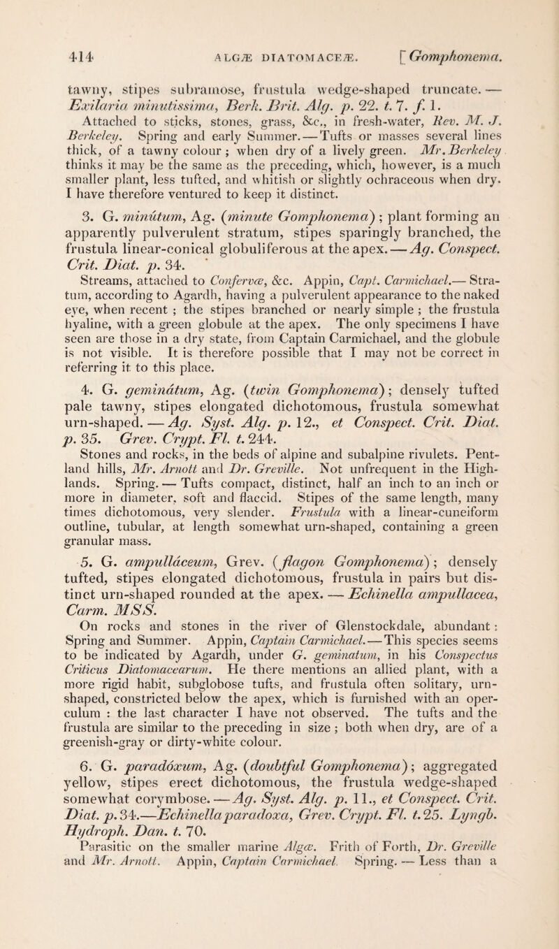 tawny, stipes subramose, frustula wedge-shaped truncate. — Exilaria minutissima, Berk. Brit. Alg. p. 22. t. 7. f 1 • Attached to sticks, stones, grass, &c., in fresh-water, Rev. M. J. Berkeley. Spring and early Summer. — Tufts or masses several lines thick, of a tawny colour ; when dry of a lively green. Mr .Berkeley thinks it may be the same as the preceding, which, however, is a much smaller plant, less tufted, and whitish or slightly ochraceons when dry. I have therefore ventured to keep it distinct. 3. G. minutum, Ag. (minute Gomphonema) ; plant forming an apparently pulverulent stratum, stipes sparingly branched, the frustula linear-conical globuliferous at the apex. — Ag. Conspect. Grit. Diat. p. 34. Streams, attached to Conferees, &c. Appin, Capt. Carmichael.— Stra¬ tum, according to Agardh, having a pulverulent appearance to the naked eye, when recent ; the stipes branched or nearly simple ; the frustula hyaline, with a green globule at the apex. The only specimens I have seen are those in a dry state, from Captain Carmichael, and the globule is not visible. It is therefore possible that I may not be correct in referring it to this place. 4. G. geminatum, Ag. (twin Gomphonema'); densely tufted pale tawny, stipes elongated dichotomous, frustula somewhat urn-shaped. — Ag. Syst. Alg. p. 12., et Conspect. Crit. Diat. p. 35. Grev. Crypt. FI. t. 244. Stones and rocks, in the beds of alpine and subalpine rivulets. Pent- land hills, Mr. Arnott and Dr. Greville. Not unfrequent in the High¬ lands. Spring. — Tufts compact, distinct, half an inch to an inch or more in diameter, soft and flaccid. Stipes of the same length, many times dichotomous, very slender. Frustula wdth a linear-cuneiform outline, tubular, at length somewhat urn-shaped, containing a green granular mass. 5. G. ampulldceum, Grev. (<flagon Gomphonema) ; densely tufted, stipes elongated dichotomous, frustula in pairs but dis¬ tinct urn-shaped rounded at the apex. —- Echinella ampullacea, Carm. MSS. On rocks and stones in the river of Glenstockdale, abundant; Spring and Summer. Appin, Captain Carmichael. — This species seems to be indicated by Agardh, under G. geminatum, in his Conspectus Criticus Diatomacearum. He there mentions an allied plant, with a more rigid habit, subglobose tufts, and frustula often solitary, urn¬ shaped, constricted below the apex, which is furnished with an oper¬ culum : the last character I have not observed. The tufts and the frustula are similar to the preceding in size ; both when dry, are of a greenish-gray or dirty-white colour. 6. G. paradoxum, Ag. (doubtful Gomphonema); aggregated yellow, stipes erect dichotomous, the frustula wedge-shaped somewhat corymbose.—Ag. Syst. Alg. p. 11., et Conspect. Crit. Diat. p. 34.—Echinellaparadoxa, Grev. Crypt. FI. t. 25. Lyngh. Hydroph. Dan. t. 70. Parasitic on the smaller marine Algce. Frith of Forth, Dr. Greville and Mr. Arnott. Appin, Captain Carmichael. Spring. — Less than a